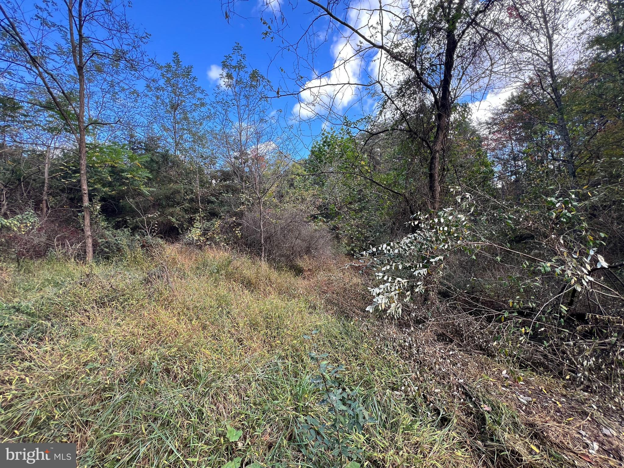 HIGH MOUNTAIN MEADOWS - Land