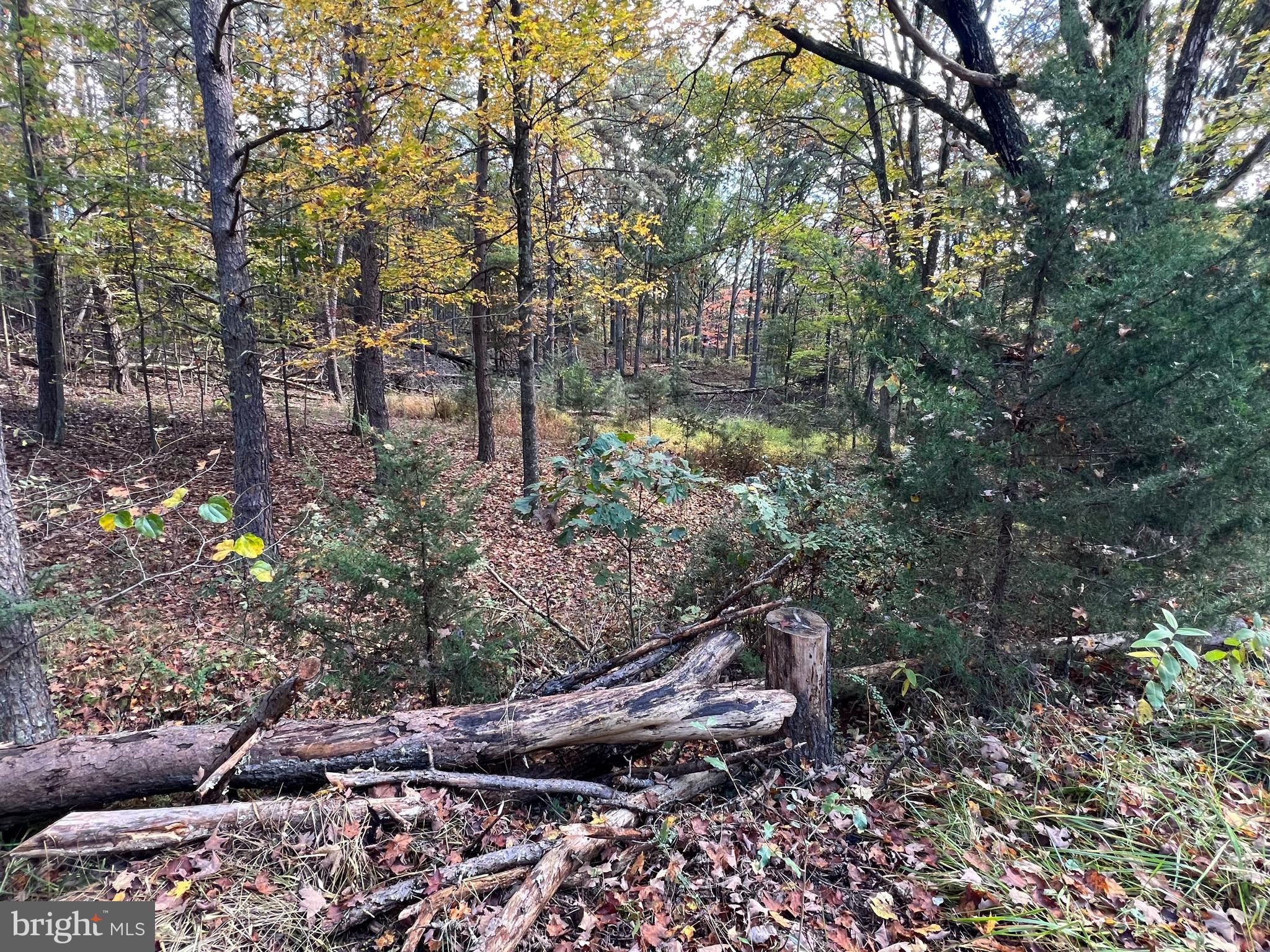 HIGH MOUNTAIN MEADOWS - Land