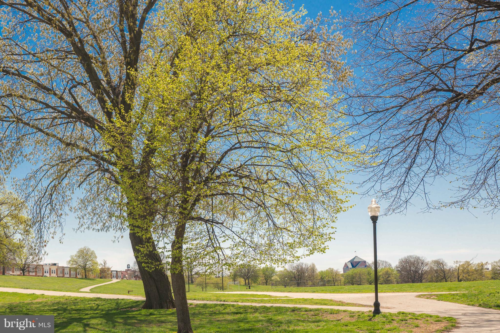 PATTERSON PARK - Residential