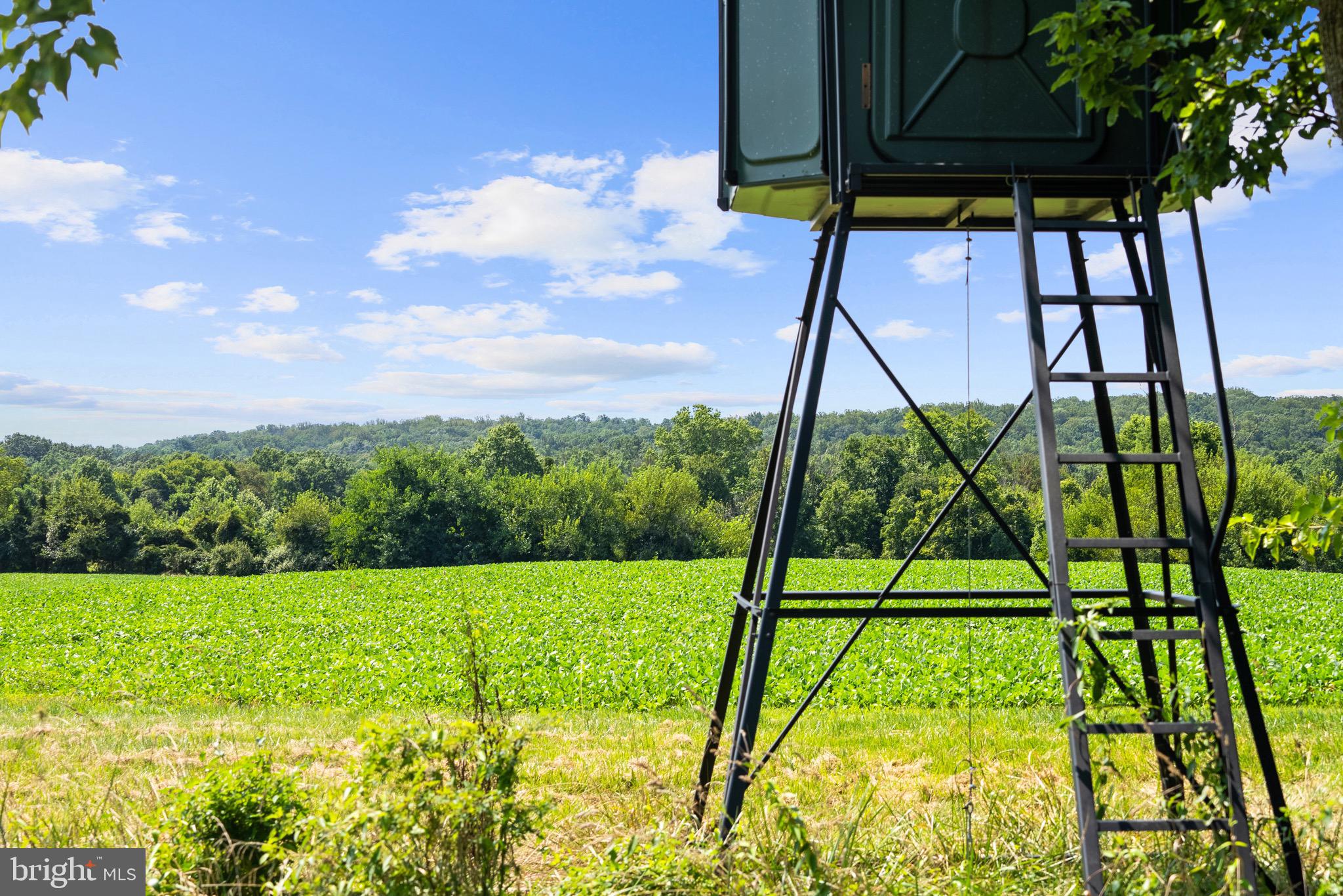 STONEY SPRINGS - Farm