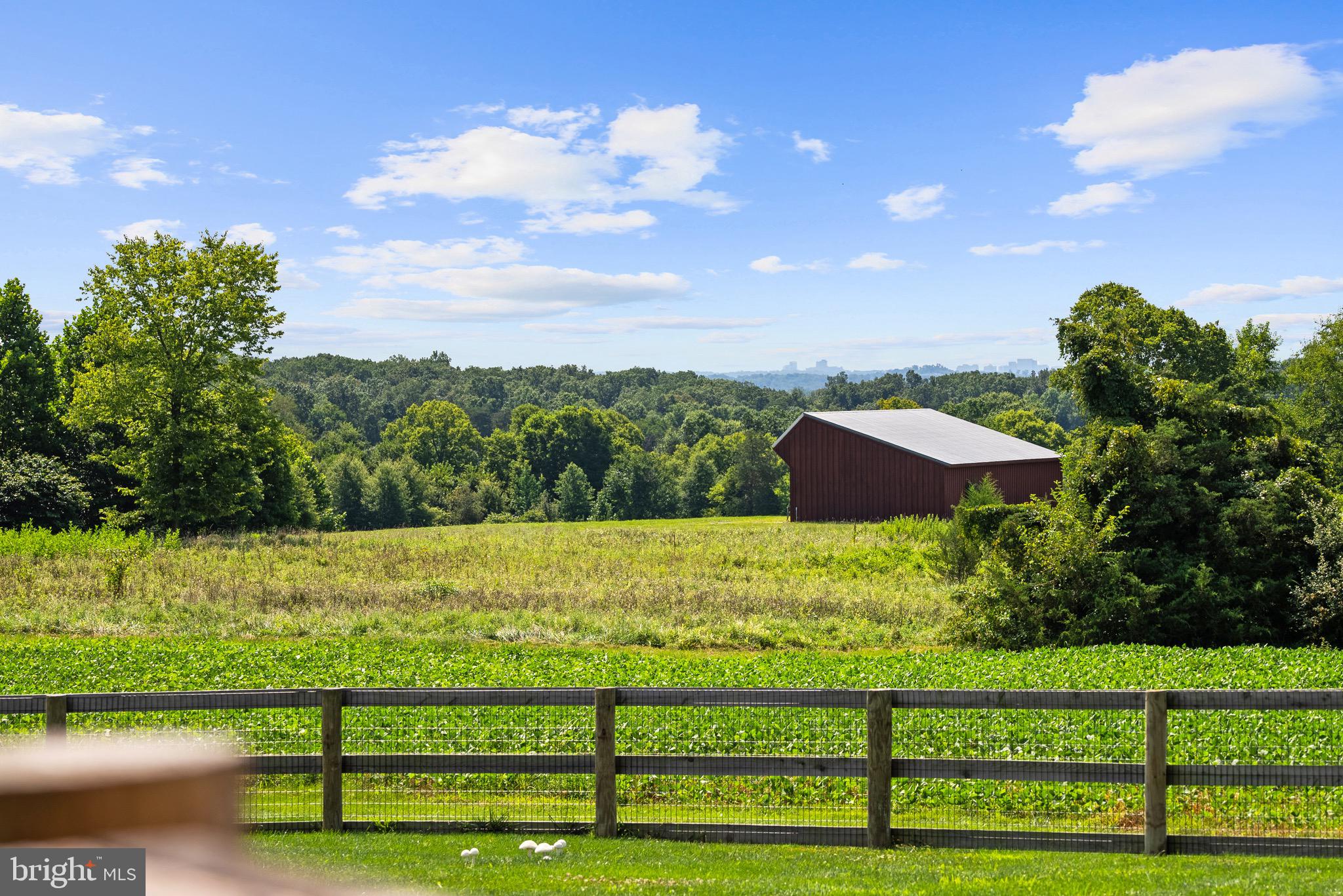 STONEY SPRINGS - Farm