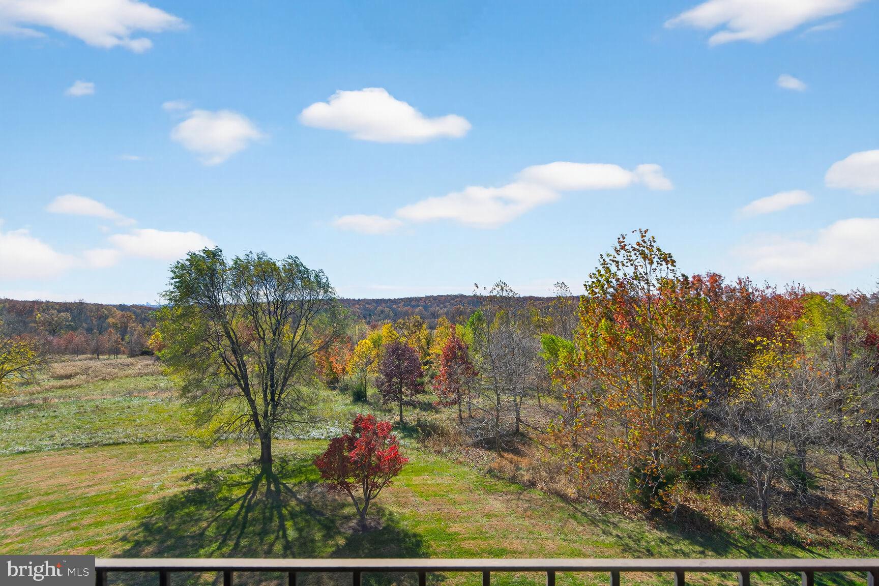 STONEY SPRINGS - Farm