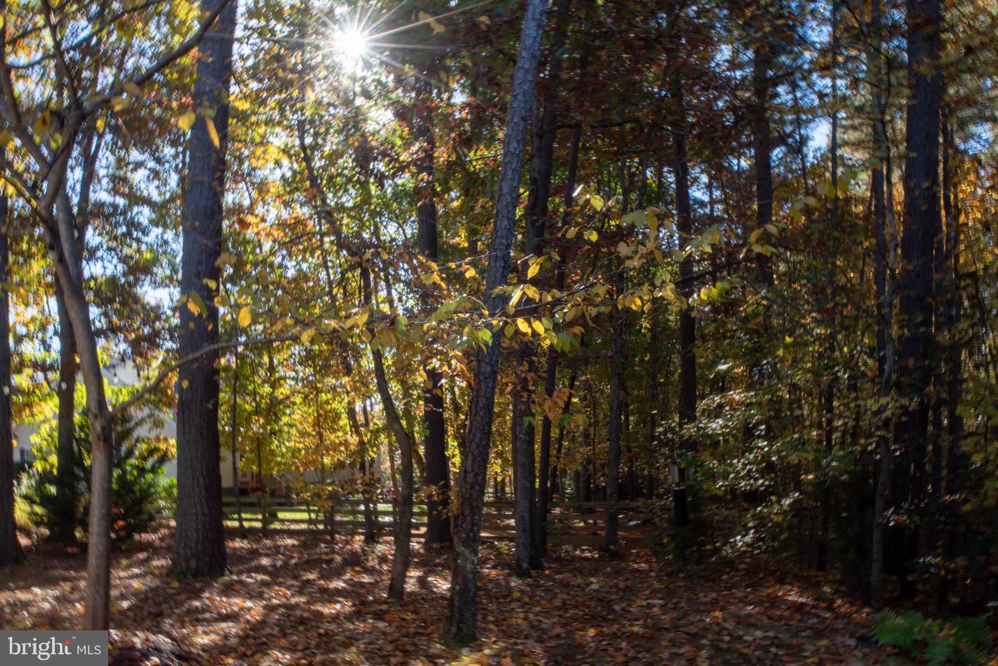 FAWN LAKE - Residential