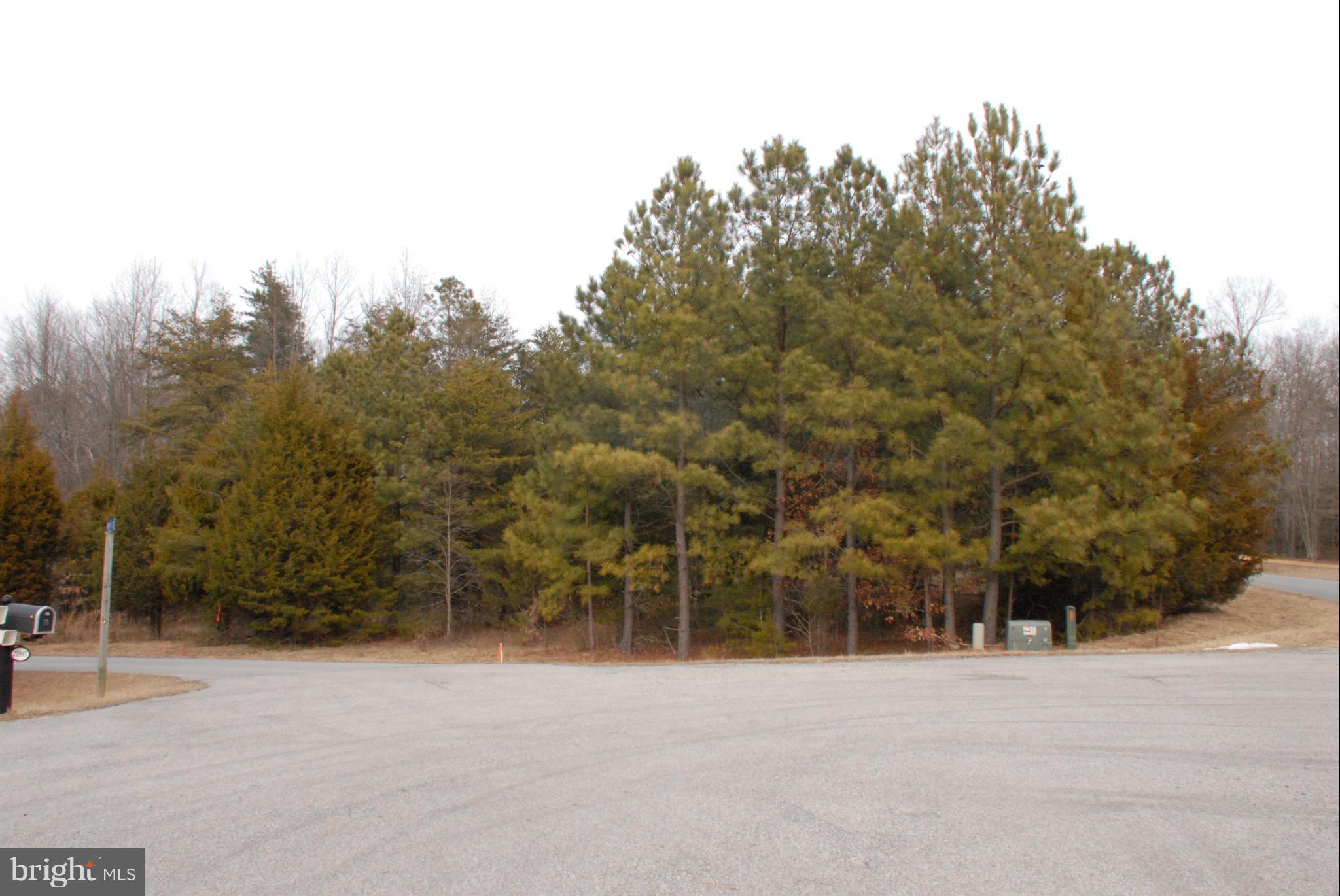 Lovely 5.6 acre lot in small subdivision. Approved perc and recorded plats. Minimal C&R and no HOA fees. 5 lots total for sale (including 2 farmettes), bring your builders!