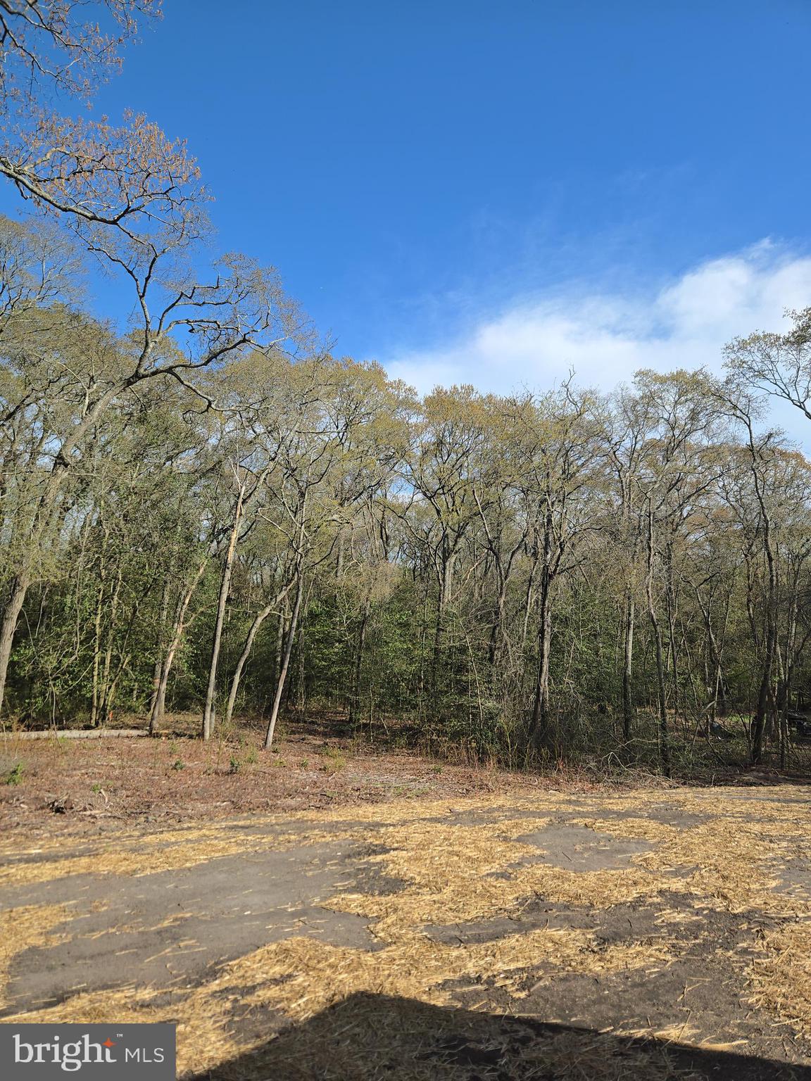 WILDWOODS - Residential