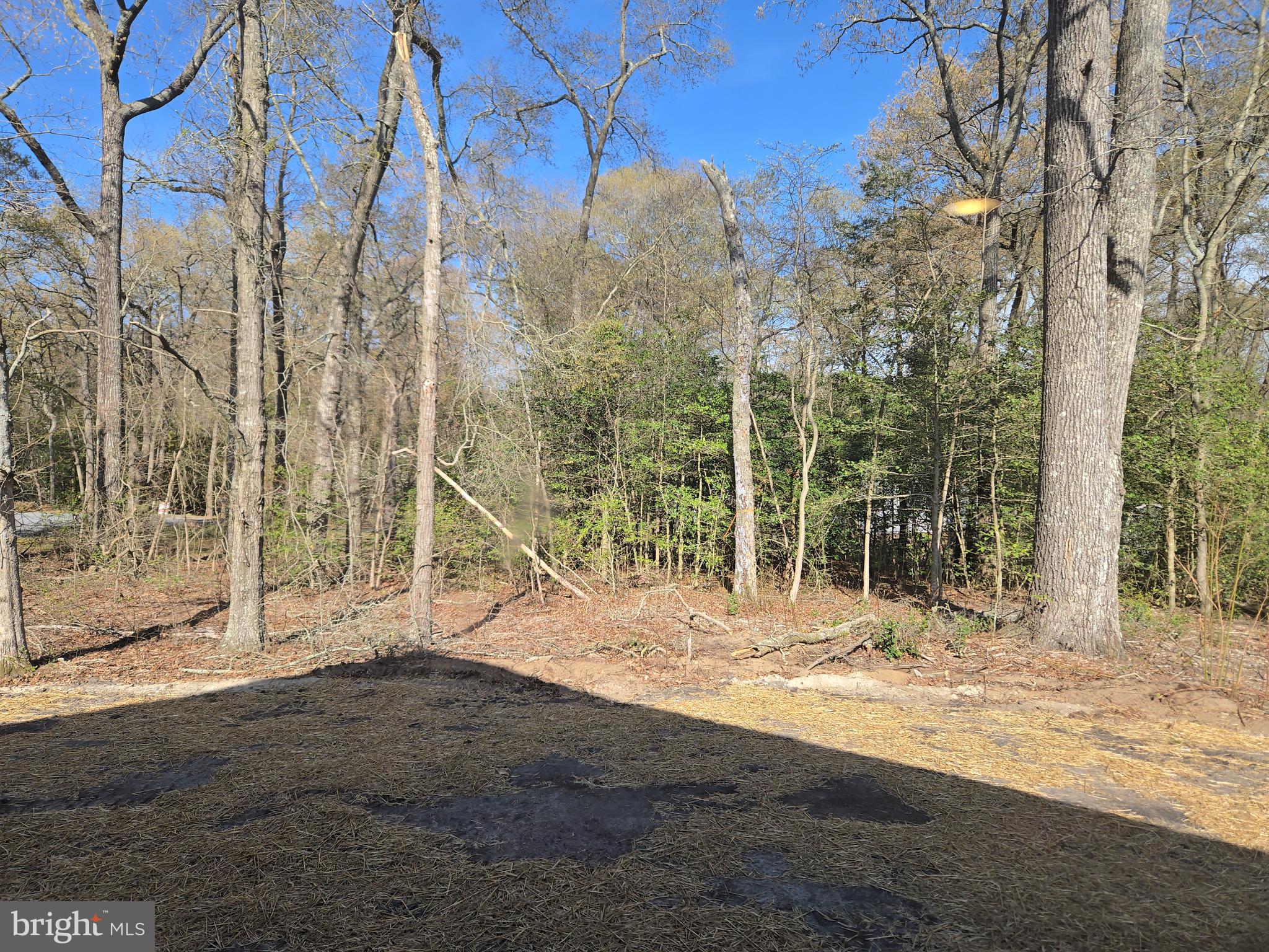 WILDWOODS - Residential