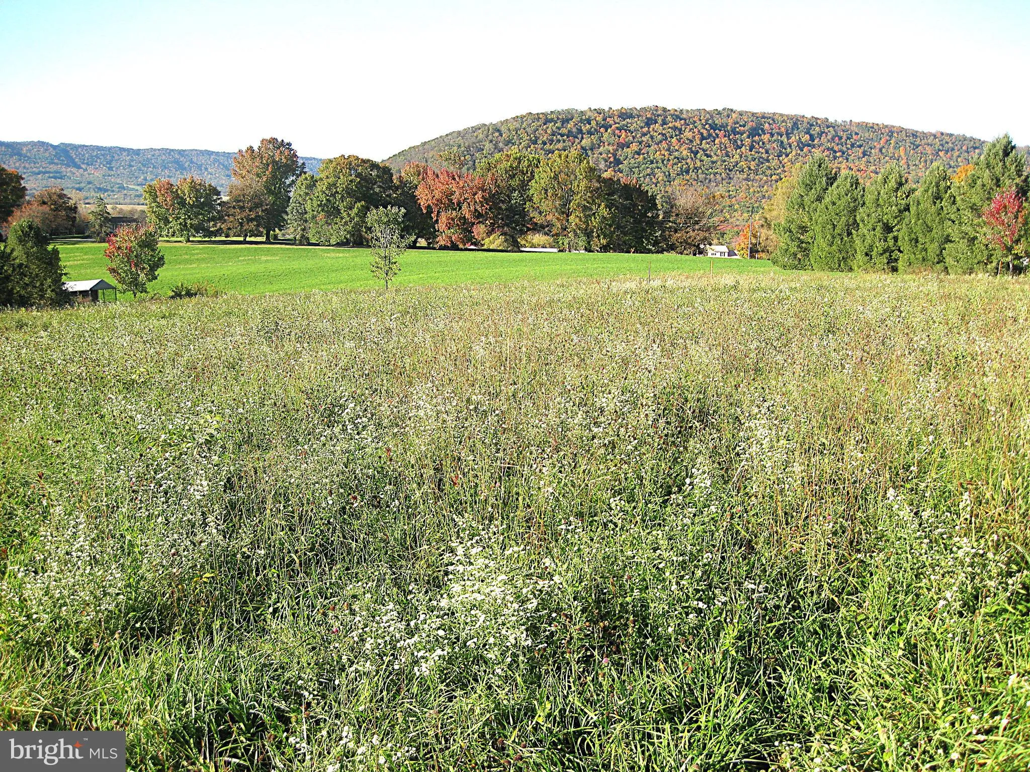 Spring Run, Pennsylvania 17262, United States, ,Land,Active,37961