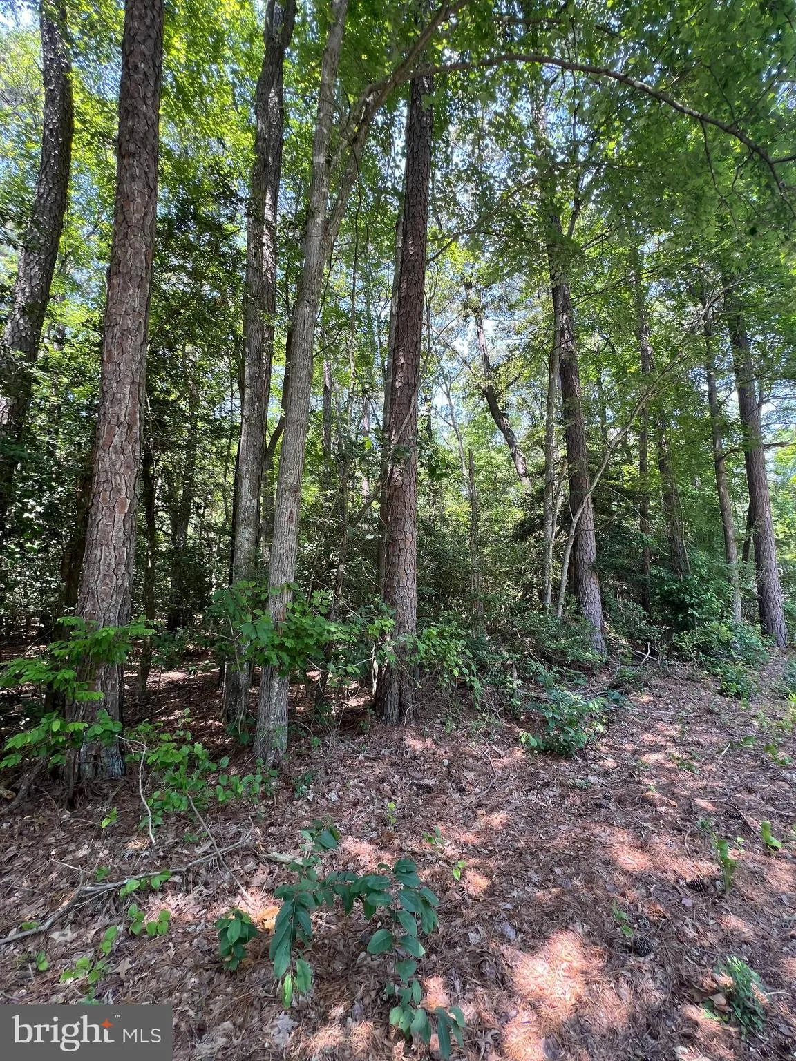 Additional image 7 of 107 W Vega Way #7, Milton, DE 19968