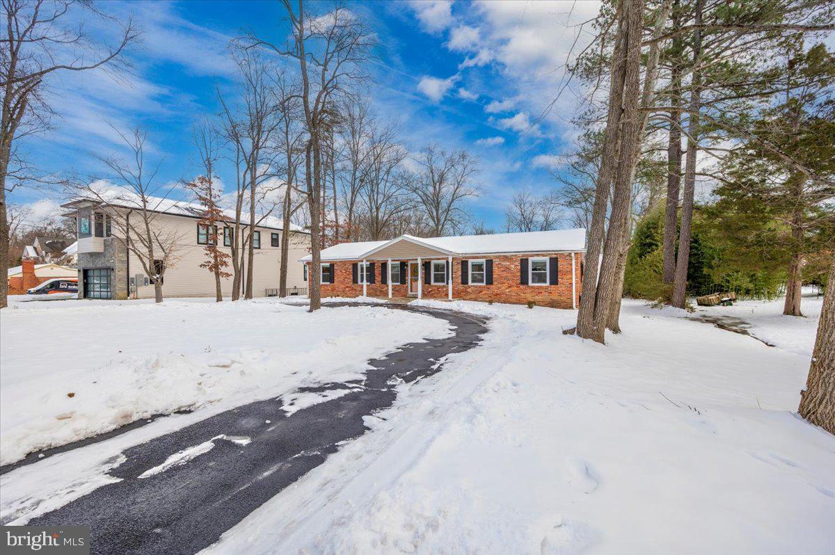 3917 PINELAND STREET