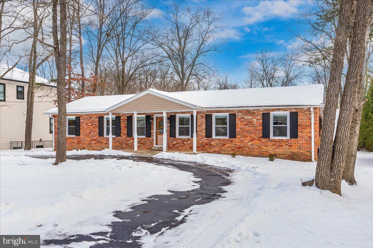 3917 PINELAND STREET