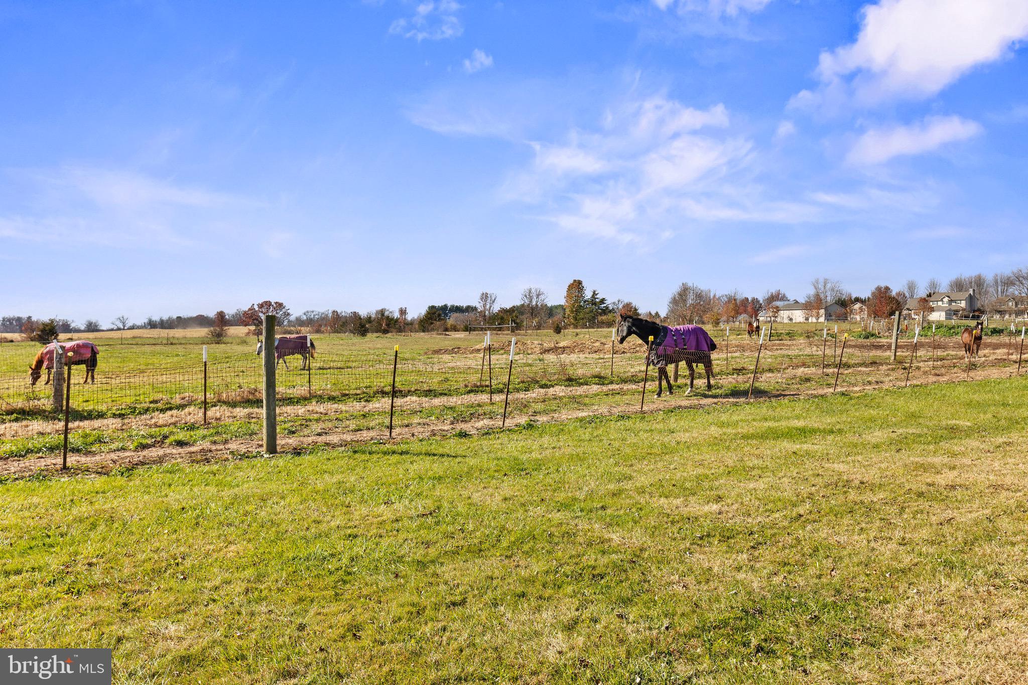 NONE AVAILABLE - Farm