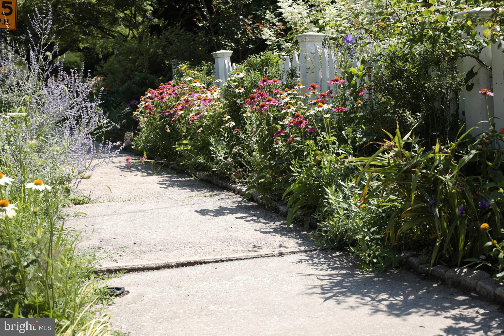 CHESTNUT HILL - Residential