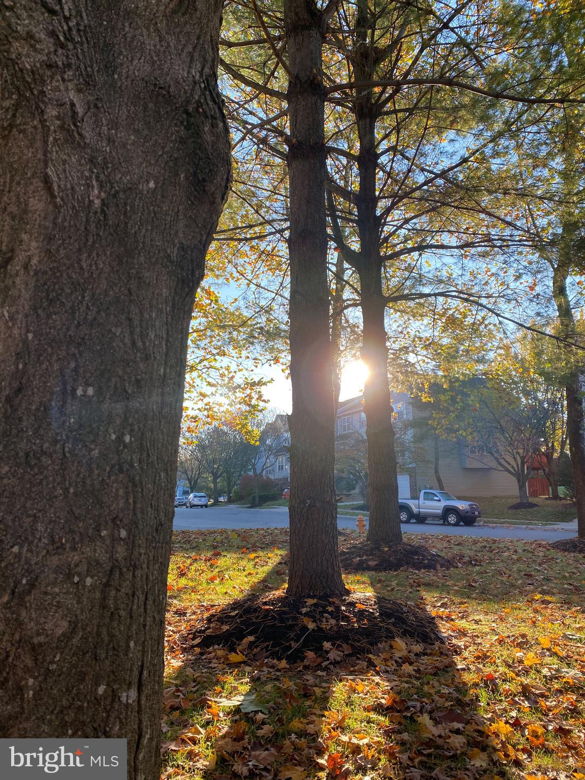 VILLAGE OF LONG REACH - Residential