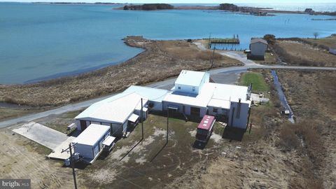 Photo of 1631 Steamboat Wharf Rd, FISHING CREEK, MD 21634 (MLS # MDDO2011944)