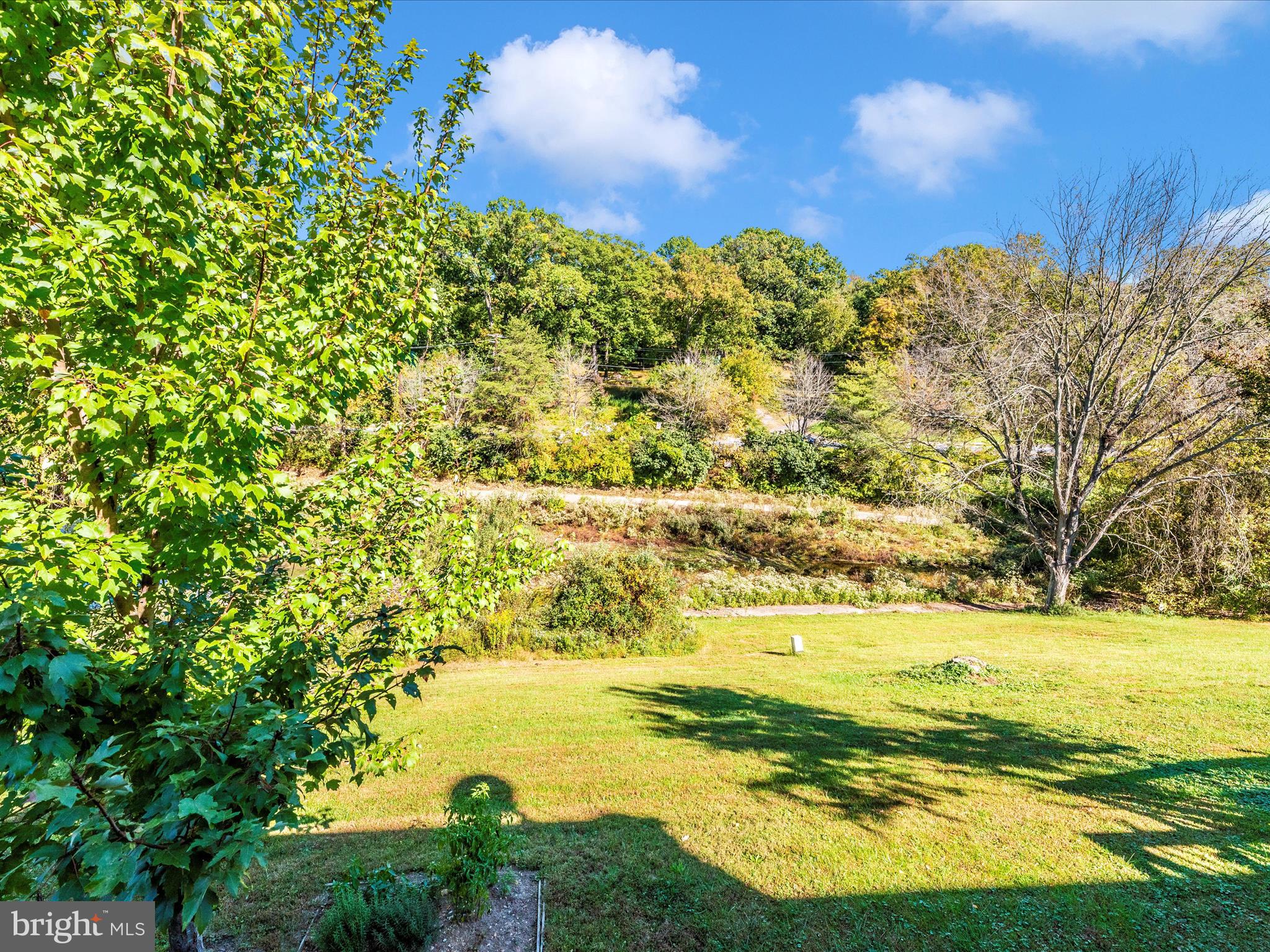 MONTGOMERY MEADOWS - Residential