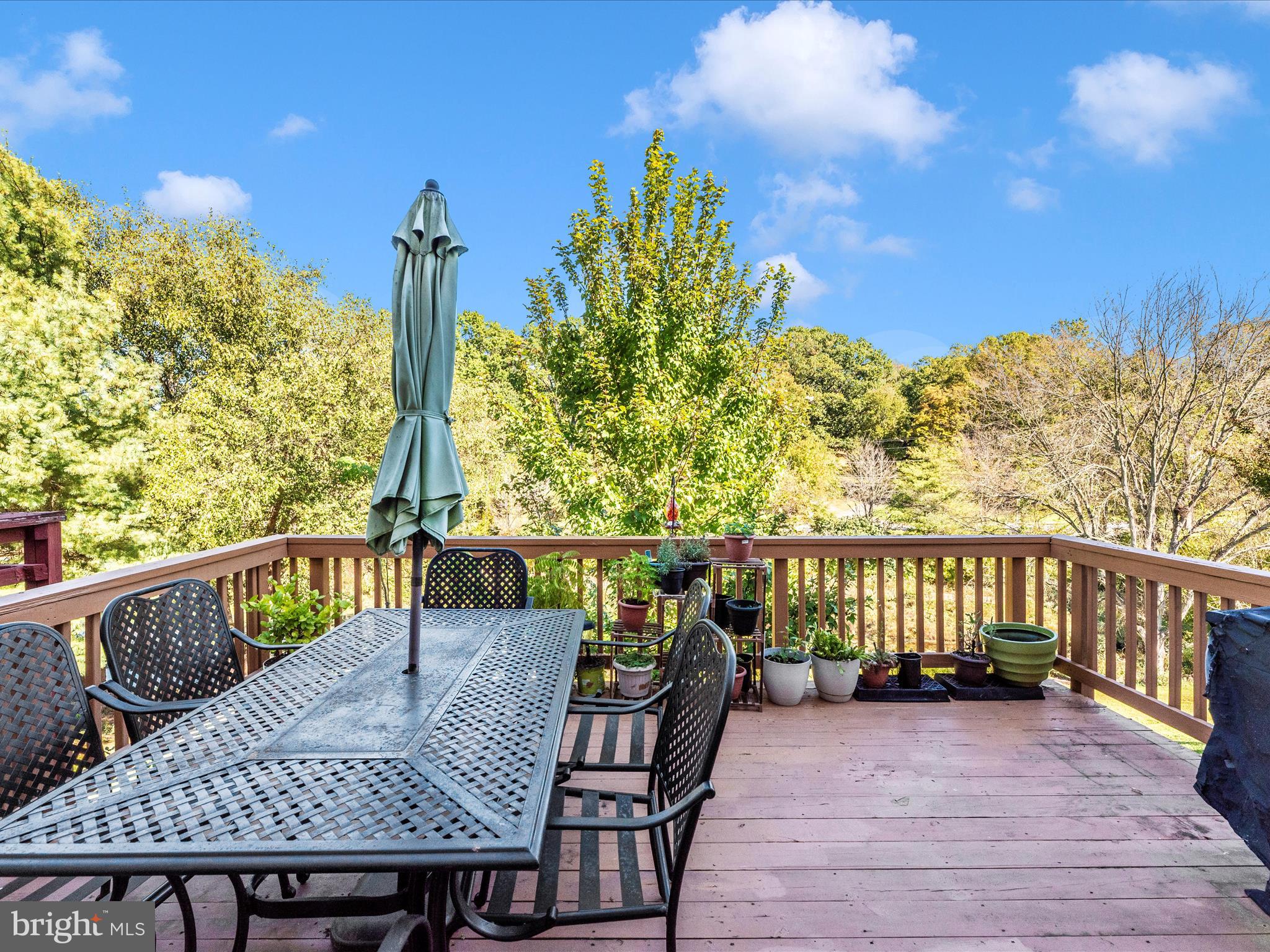 MONTGOMERY MEADOWS - Residential