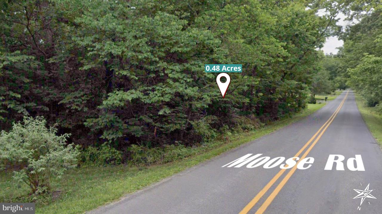 MOOSE ROAD