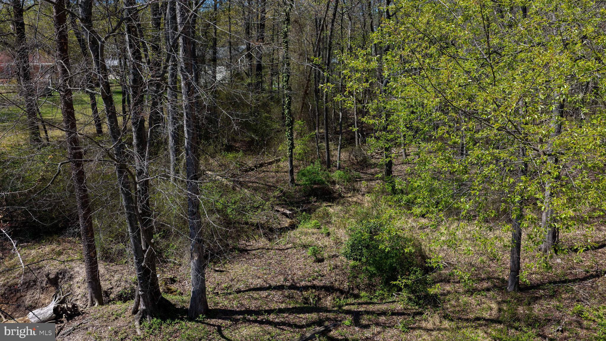 AUSTIN GARDENS - Land