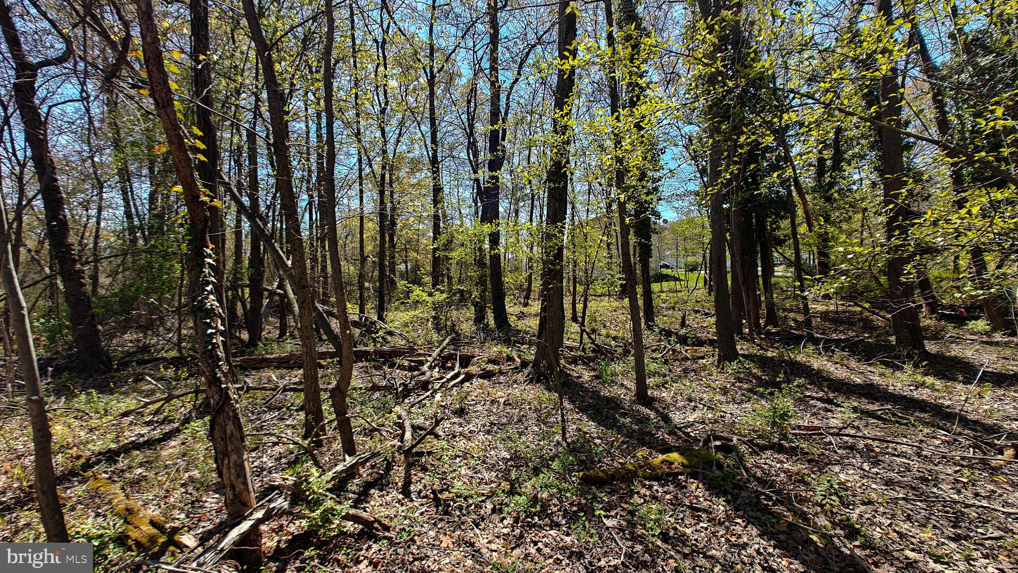 AUSTIN GARDENS - Land