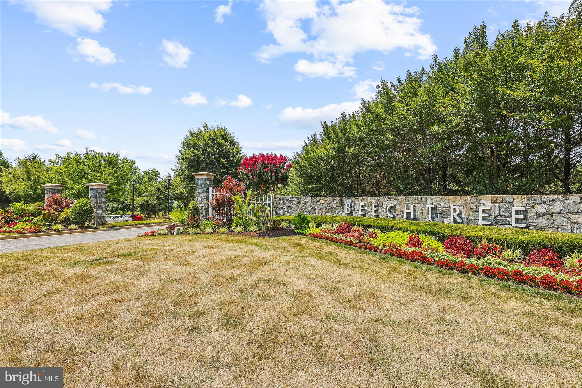 BEECHTREE - Residential