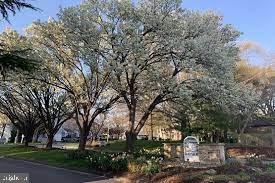 BAYSIDE - Residential