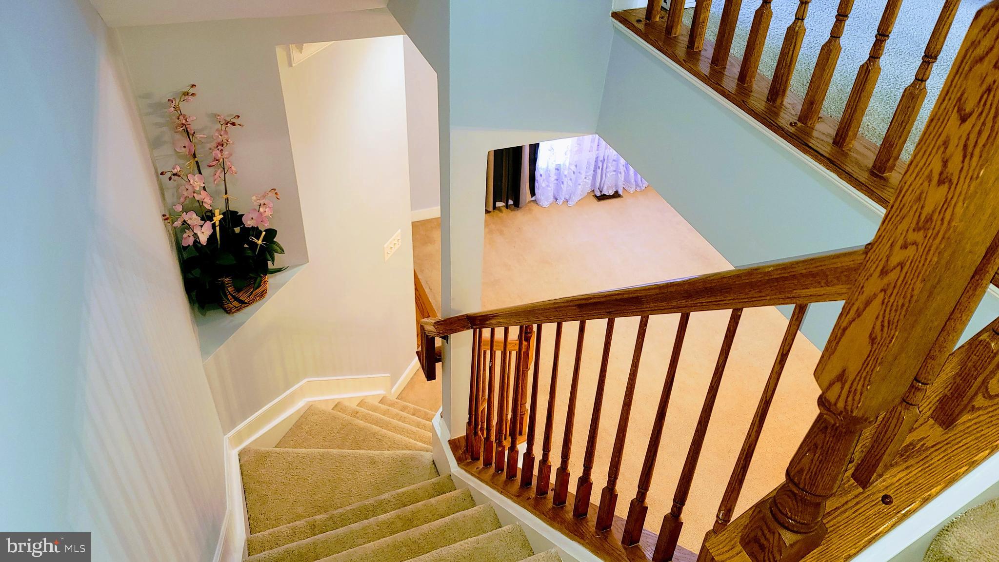 DALE CITY - Residential Lease