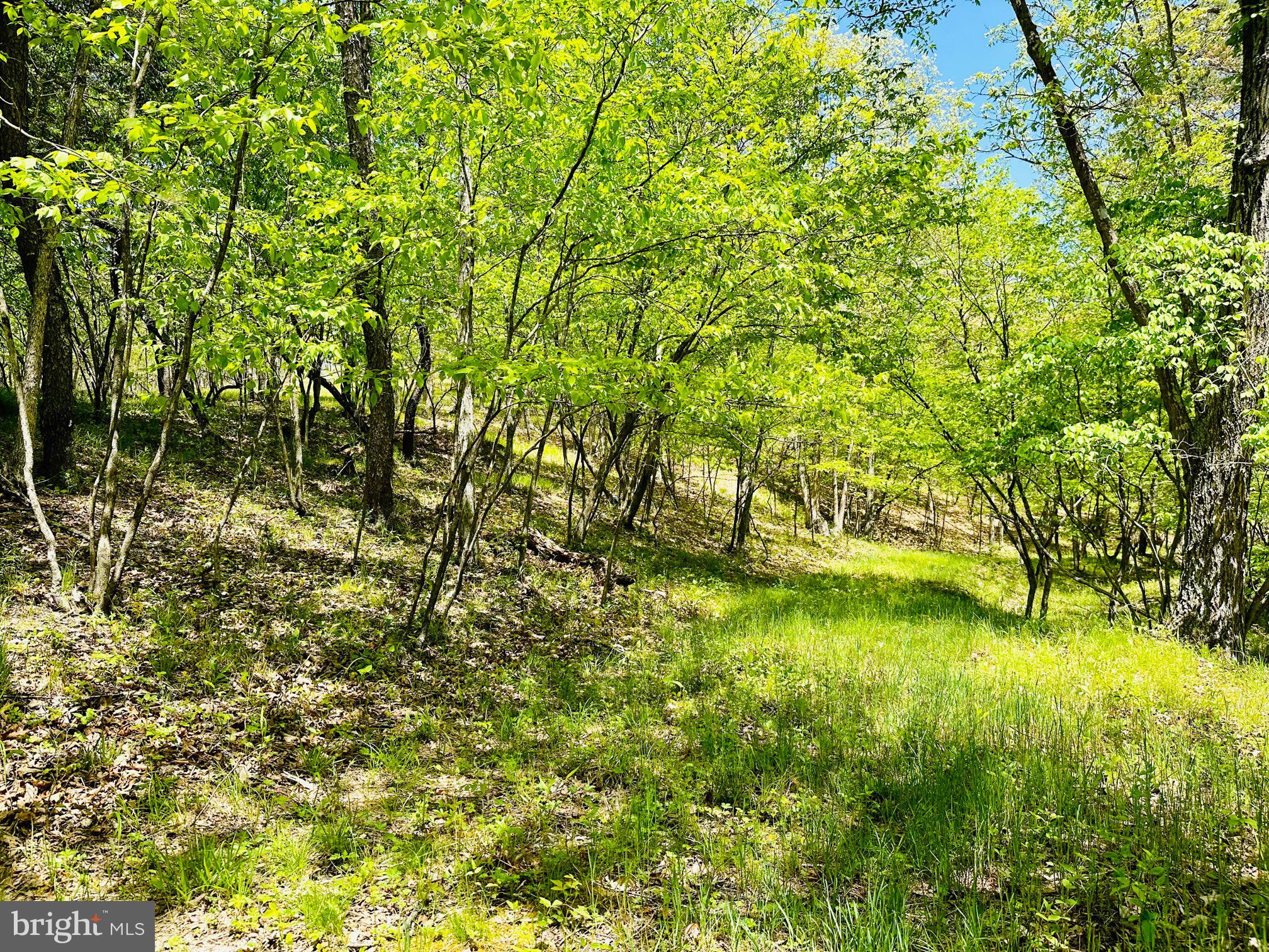 SOUTH POTOMAC FOREST - Residential