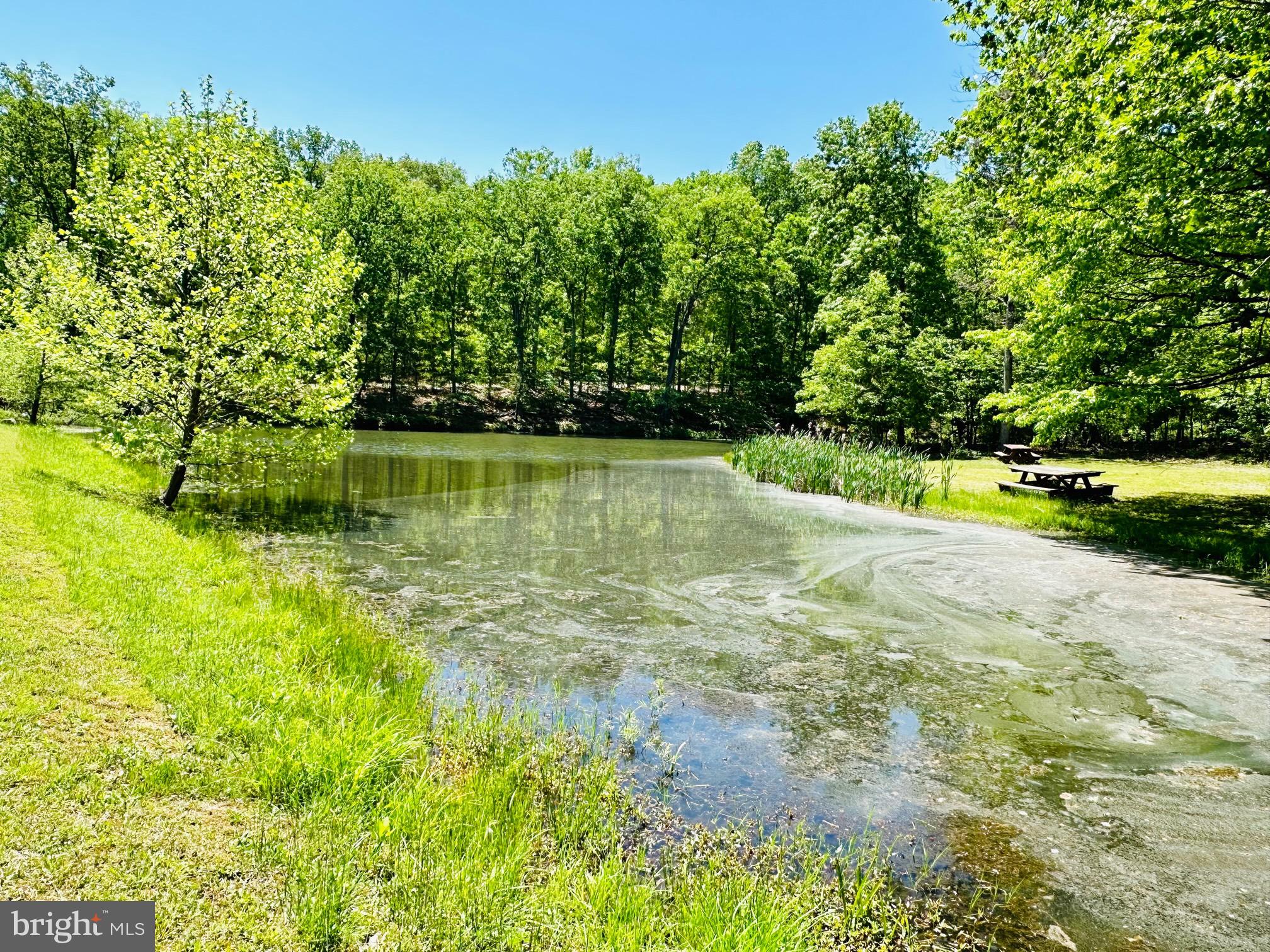 SOUTH POTOMAC FOREST - Residential