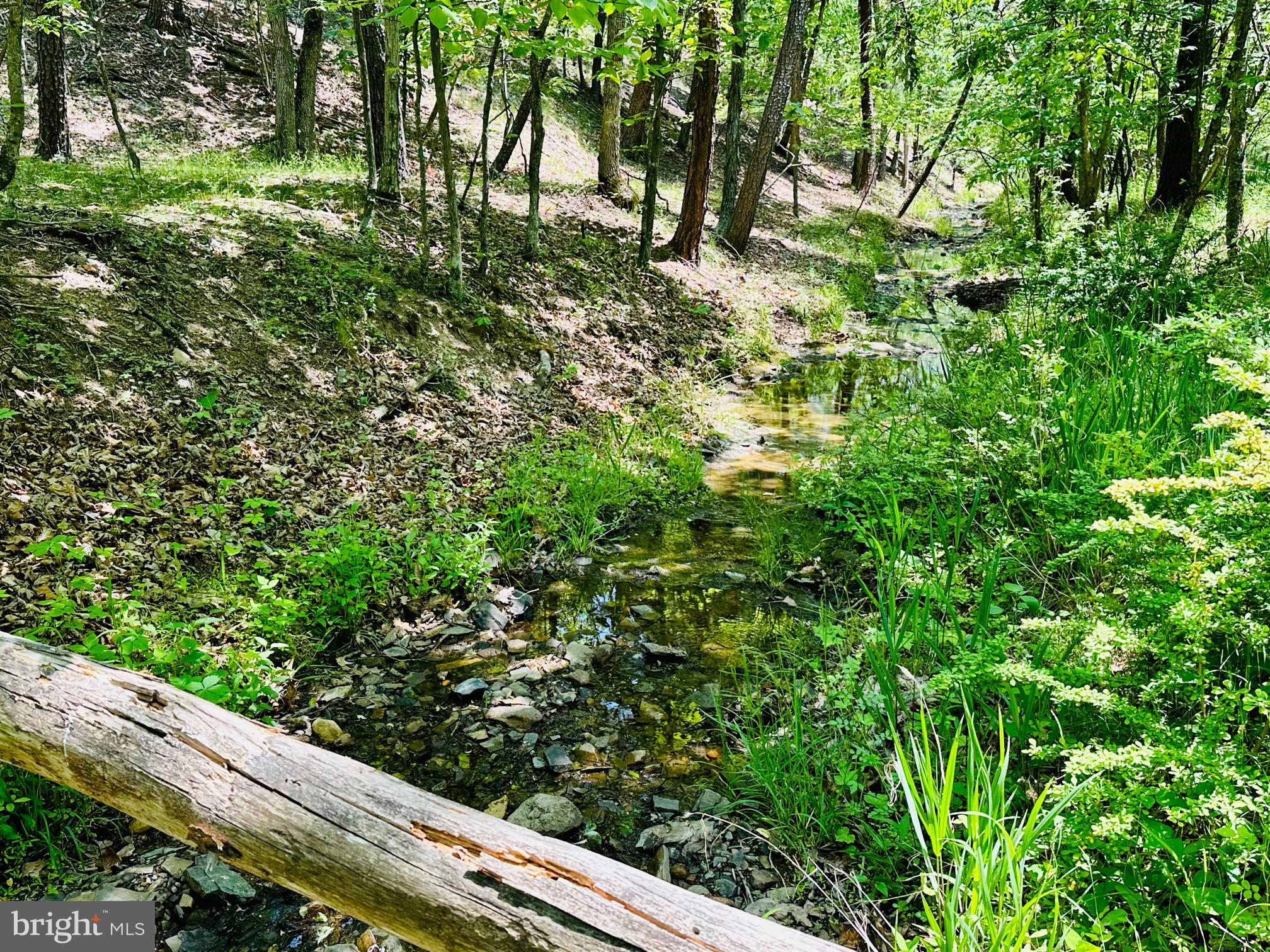 SOUTH POTOMAC FOREST - Residential