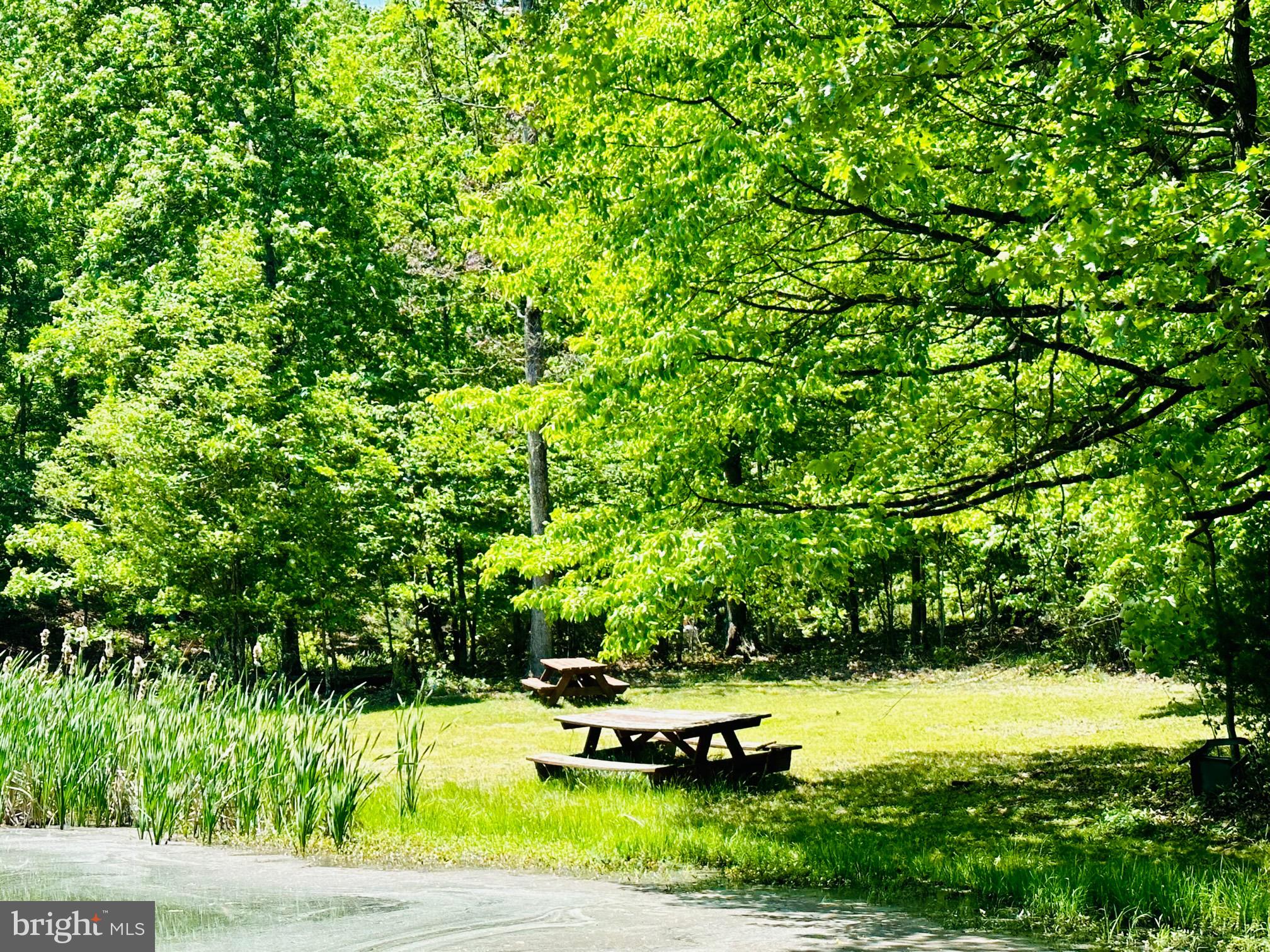 SOUTH POTOMAC FOREST - Residential