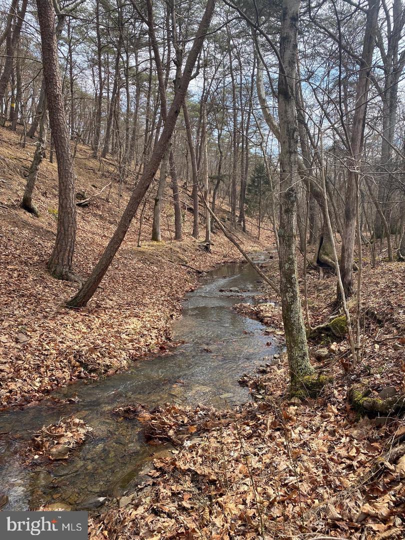 SOUTH POTOMAC FOREST - Residential