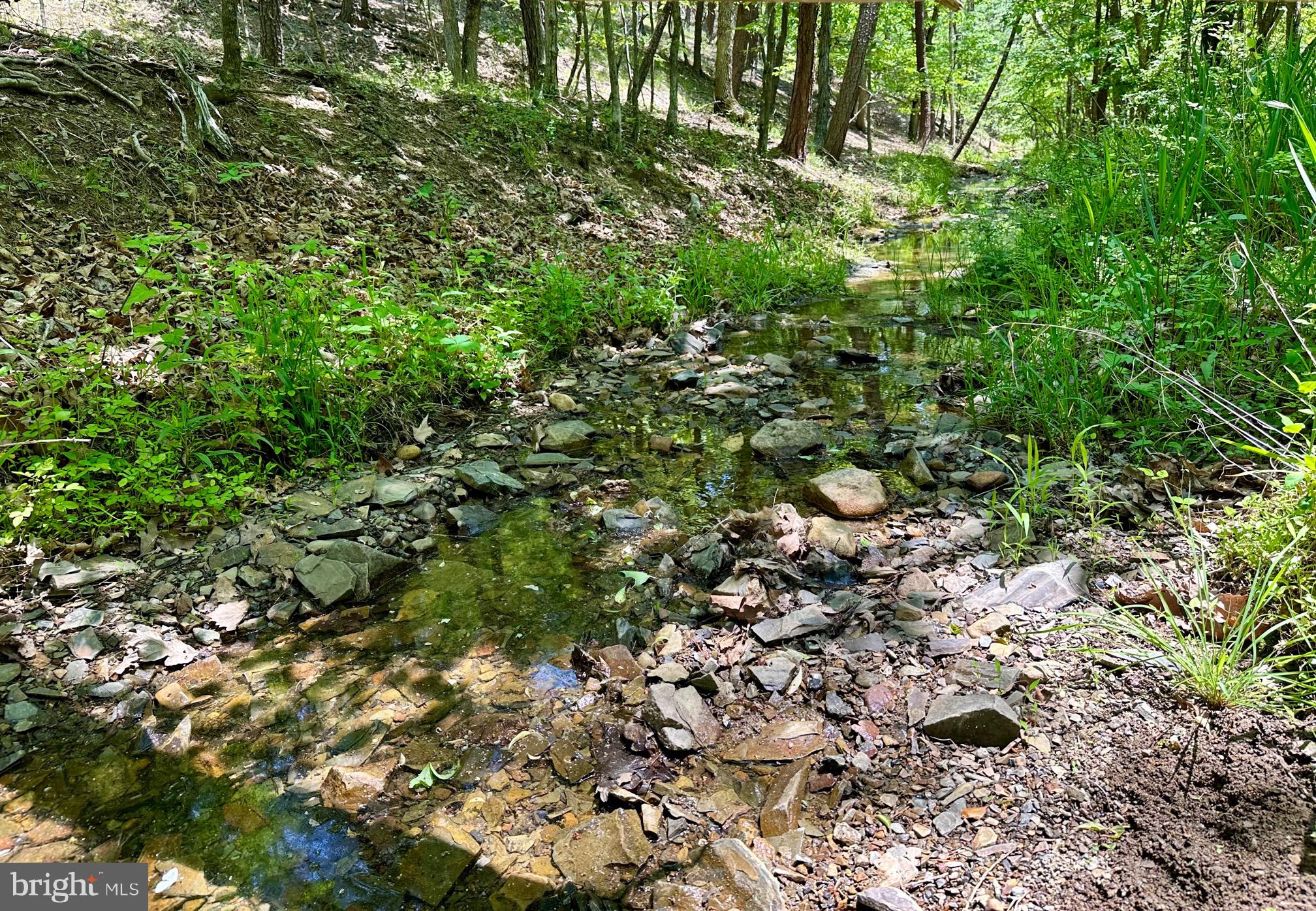 SOUTH POTOMAC FOREST - Residential