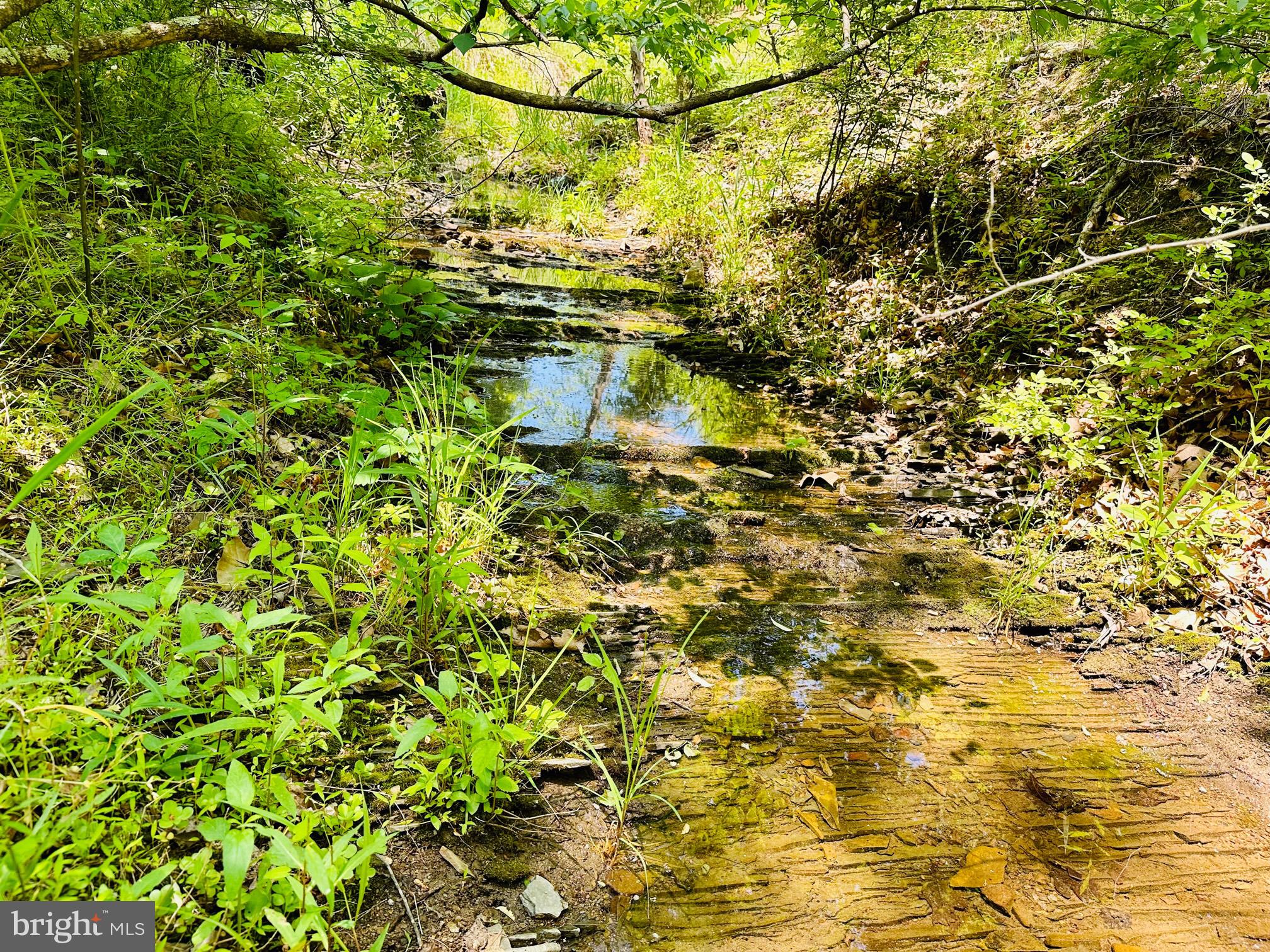 SOUTH POTOMAC FOREST - Residential