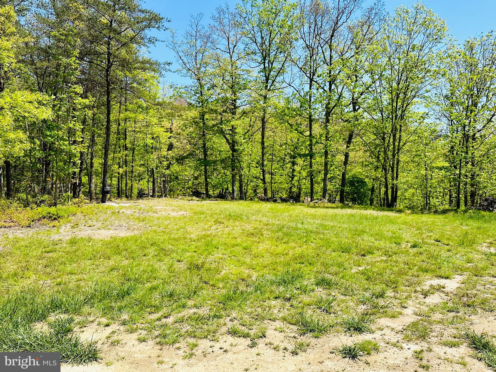 SOUTH POTOMAC FOREST - Residential