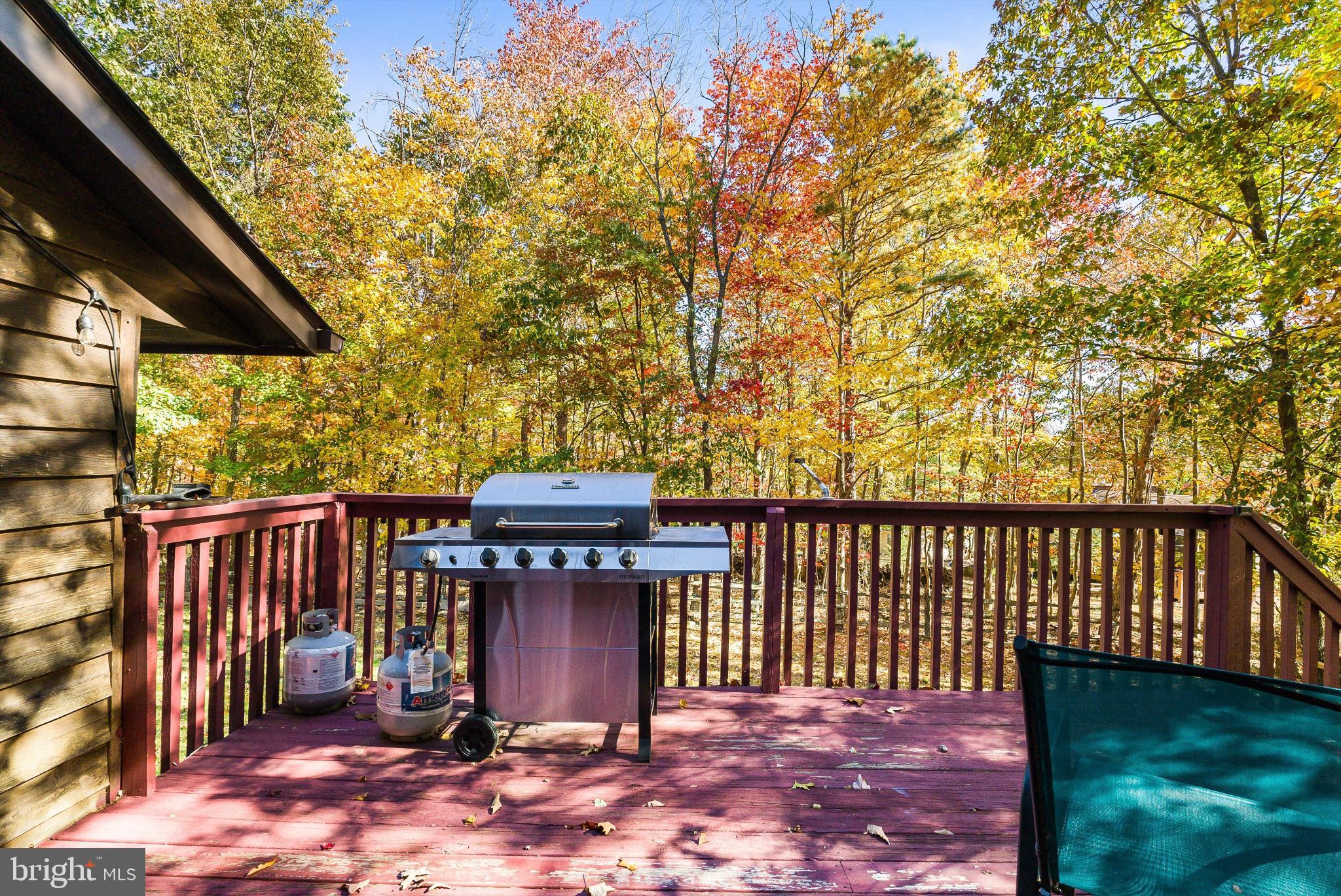 MASSANUTTEN - Residential