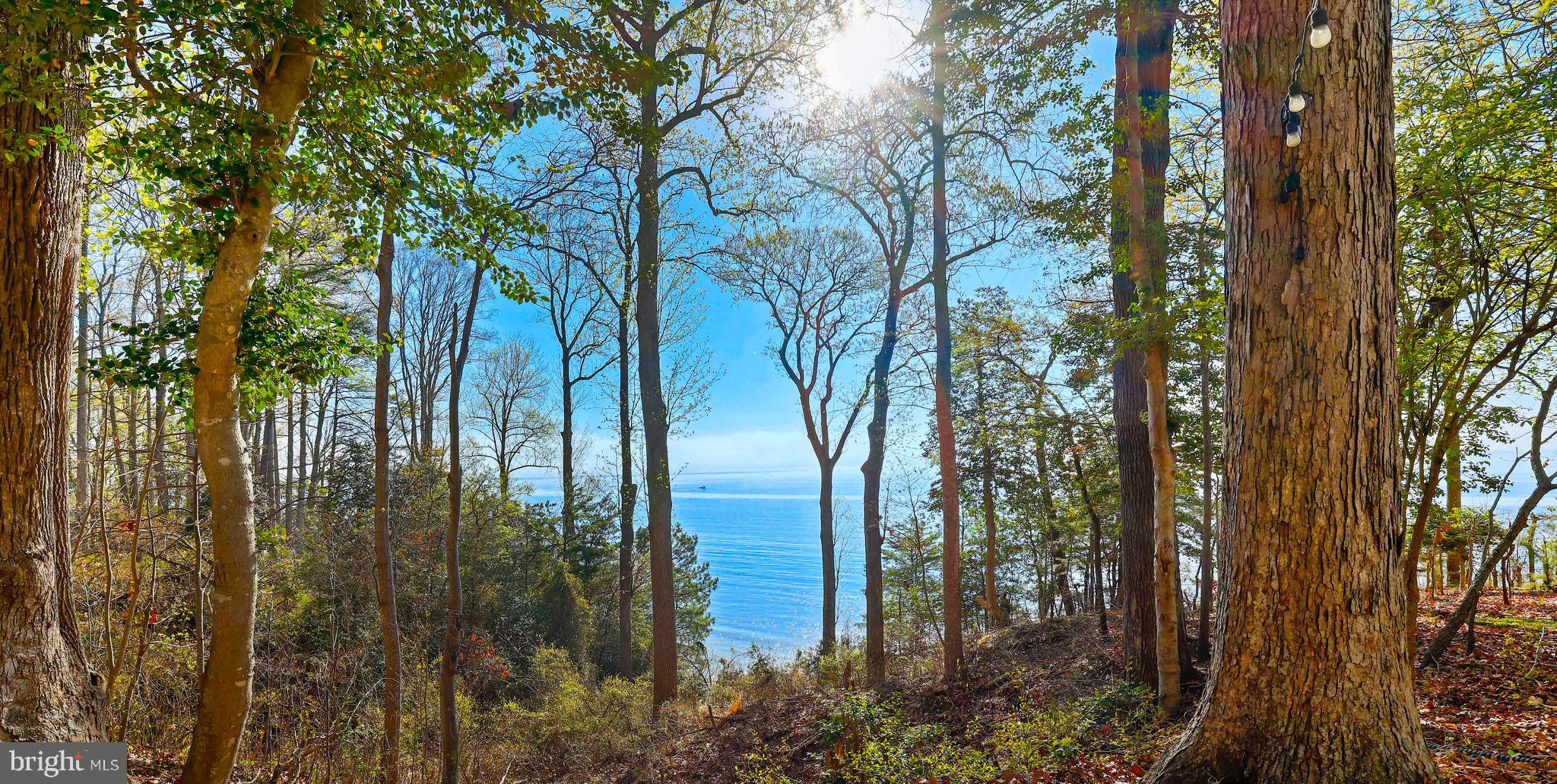 CHESAPEAKE RANCH ESTATES - Residential