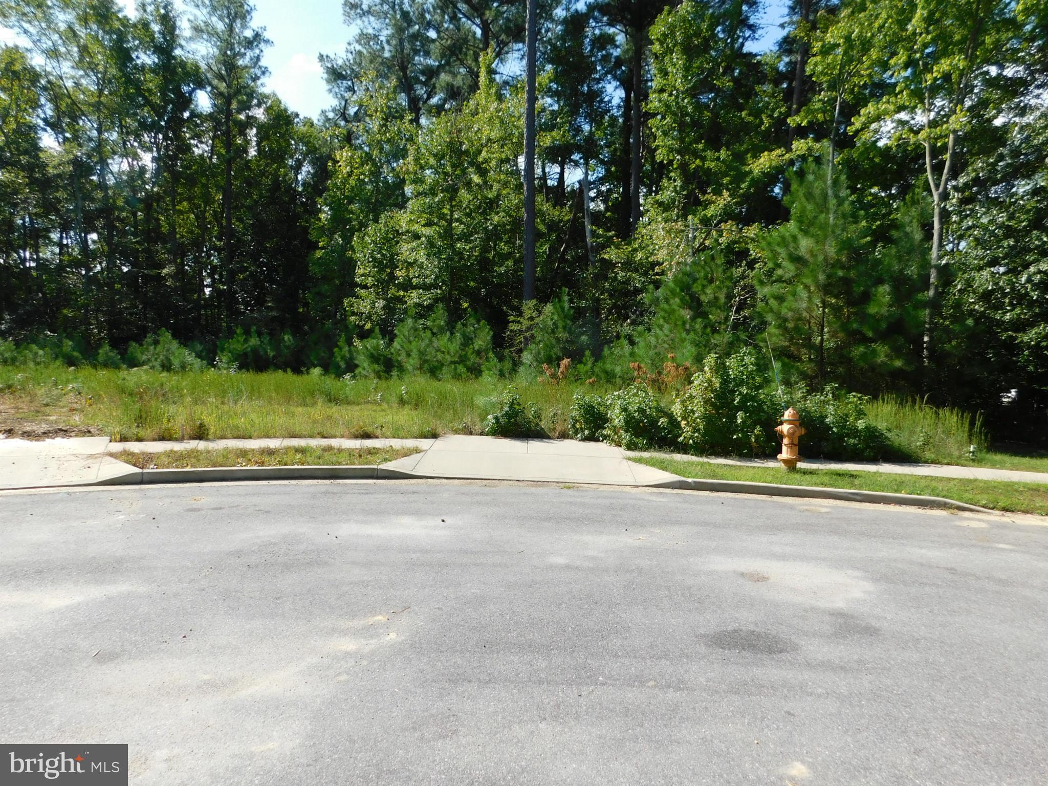 NONE AVAILABLE - Land