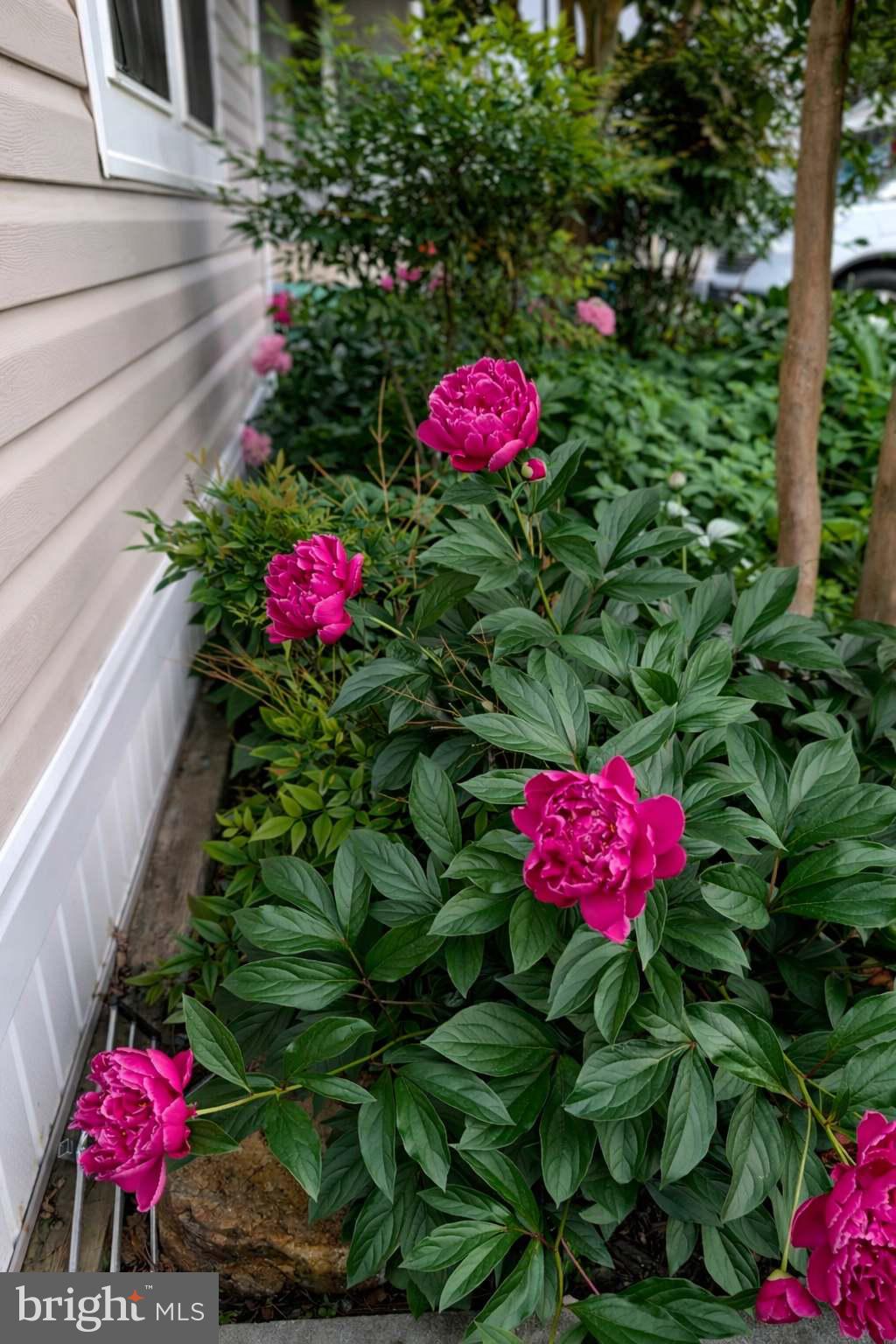 WAPLES MOBILE HOME PARK - Residential