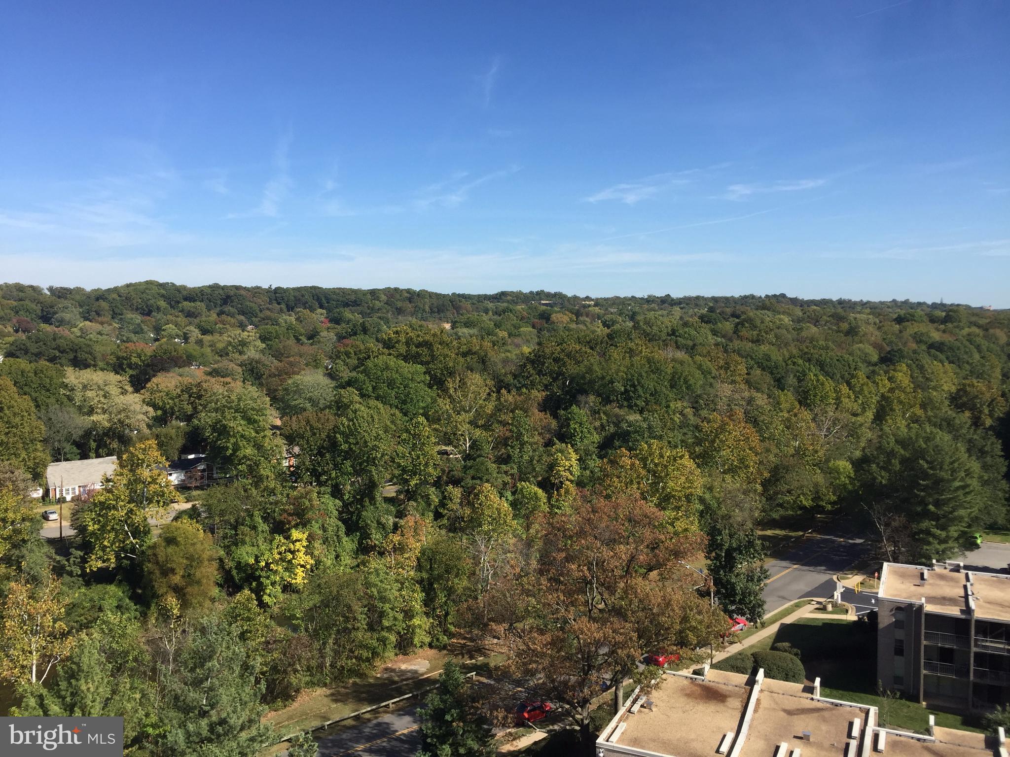 5300 HOLMES RUN PARKWAY 1209