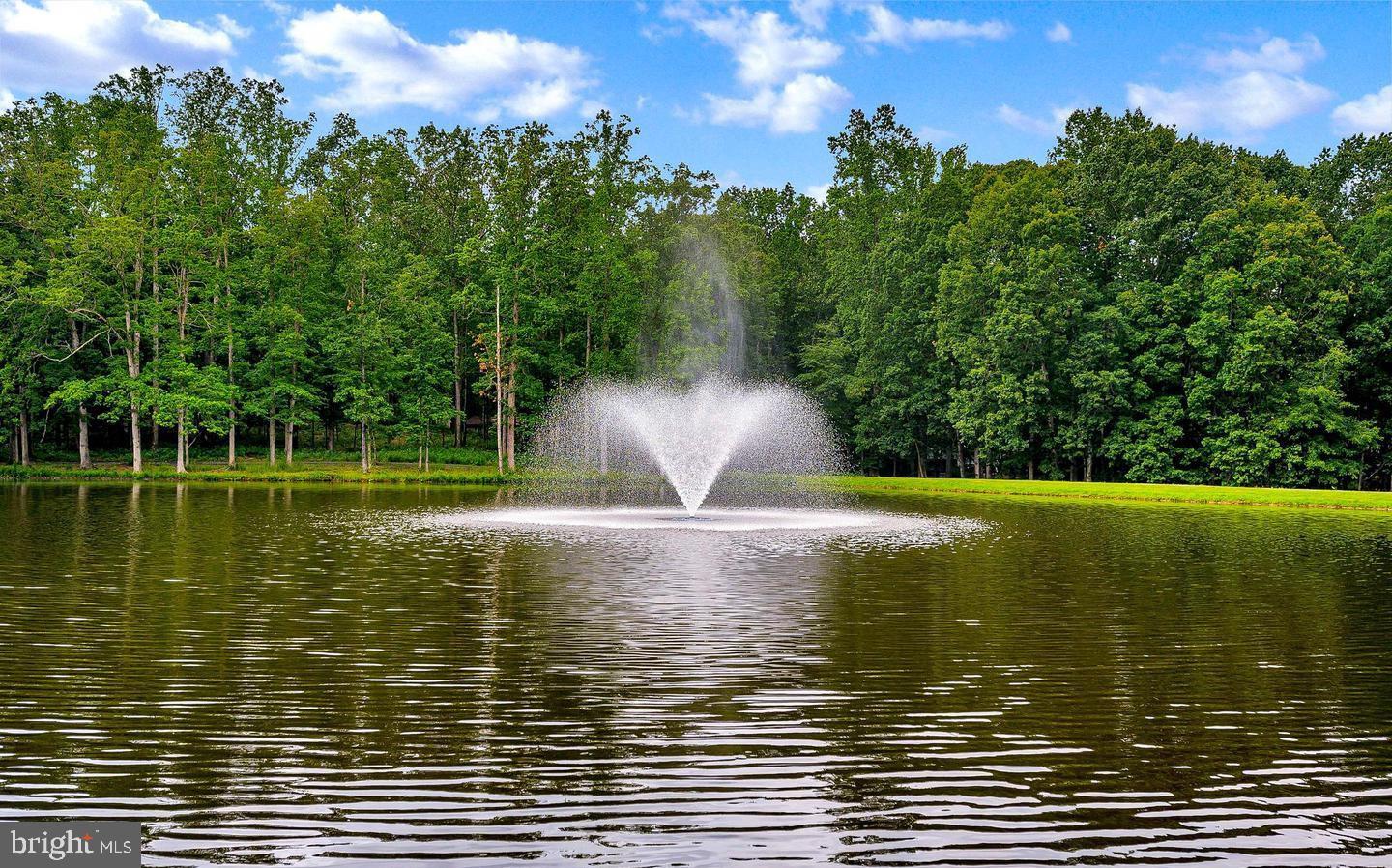 LAKE OF THE WOODS - Residential