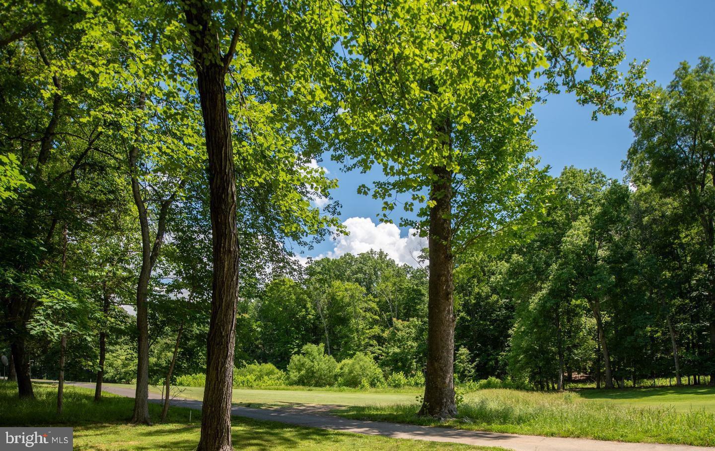 LAKE OF THE WOODS - Residential