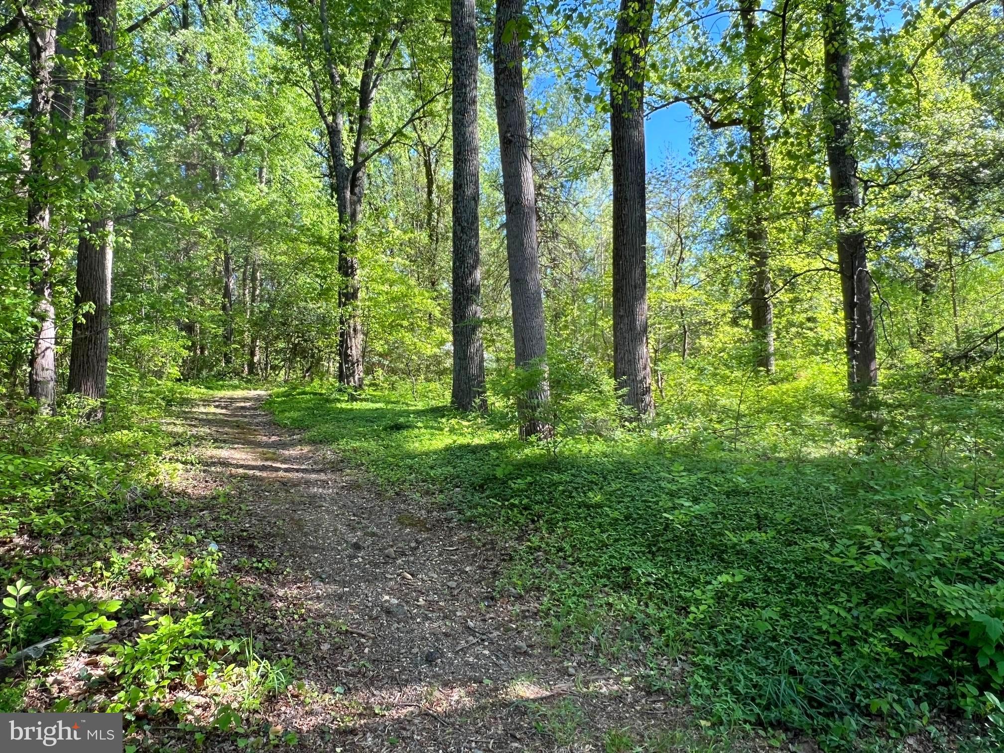 HILLMEAD - Residential