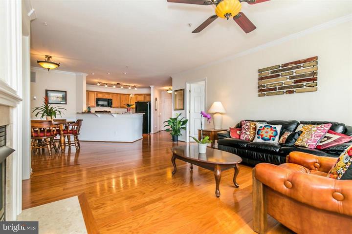 DOMINION STATION - Residential Lease