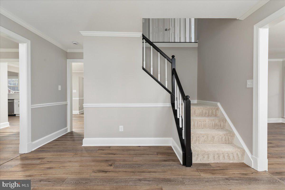 SOWEGO FORREST - Residential