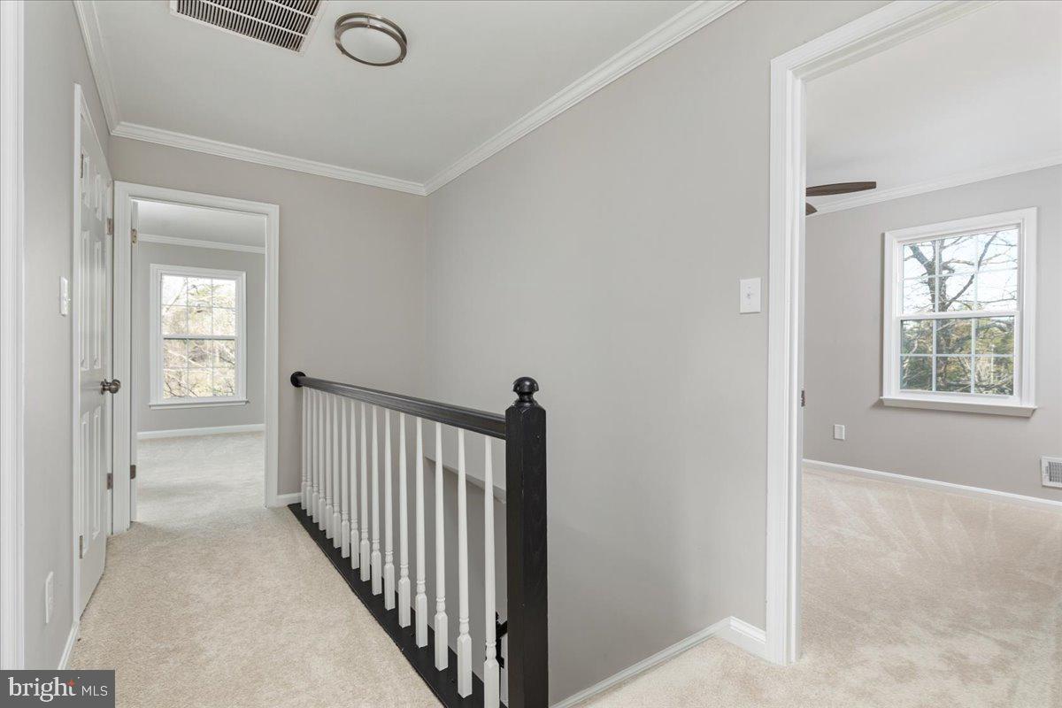 SOWEGO FORREST - Residential