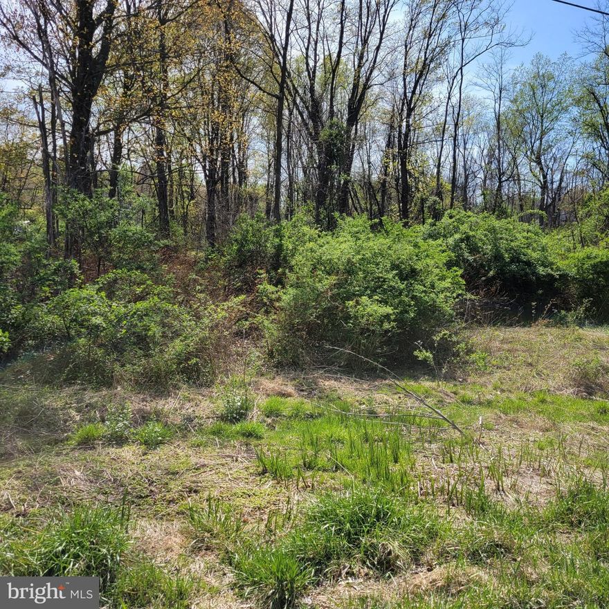 Dream Big on this Rare Double Lot!

Nestled on a peaceful cul-de-sac in a serene, wooded setting, this build-ready double lot is your perfect canvas. Whether you're dreaming of a cozy retreat or a spacious forever home, this quiet street offers the ideal backdrop for relaxed, everyday living.

 All you need is your building permit to break ground. Enjoy the privacy of mature trees and the space a double lot provides — perfect for outdoor living, gardening, or even adding a detached garage or workshop.

Located just 11 minutes from Ski Liberty, premier golf courses, and charming local wineries, adventure and leisure are always within reach. Plus, you're only a short drive to historic Gettysburg and Route 15, making commuting or weekend getaways a breeze.

Don’t miss this opportunity to build the home you’ve always wanted in one of the area’s most desirable, tucked-away locations.

SEPTIC SYSTEM HAS BEEN DESIGNED.  LOT IS READY TO GO, ALL YOU NEED IS A BUILDING PERMIT.