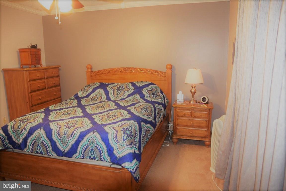 SHANNON SQUARE - Residential