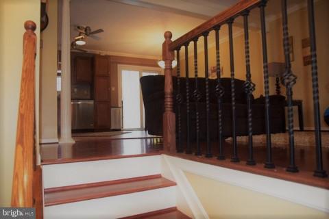 SHANNON SQUARE - Residential