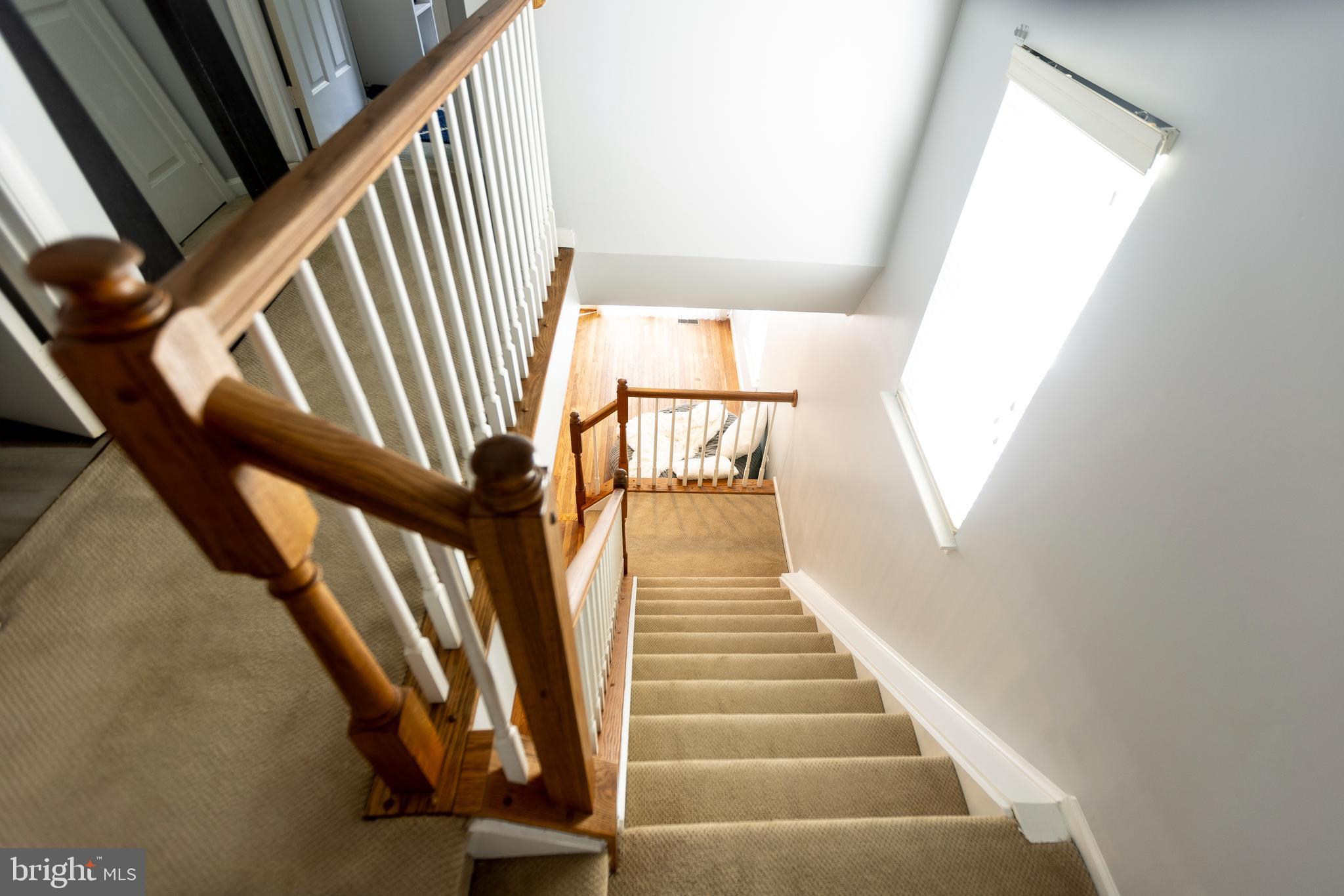 BOWIE FOREST - Residential