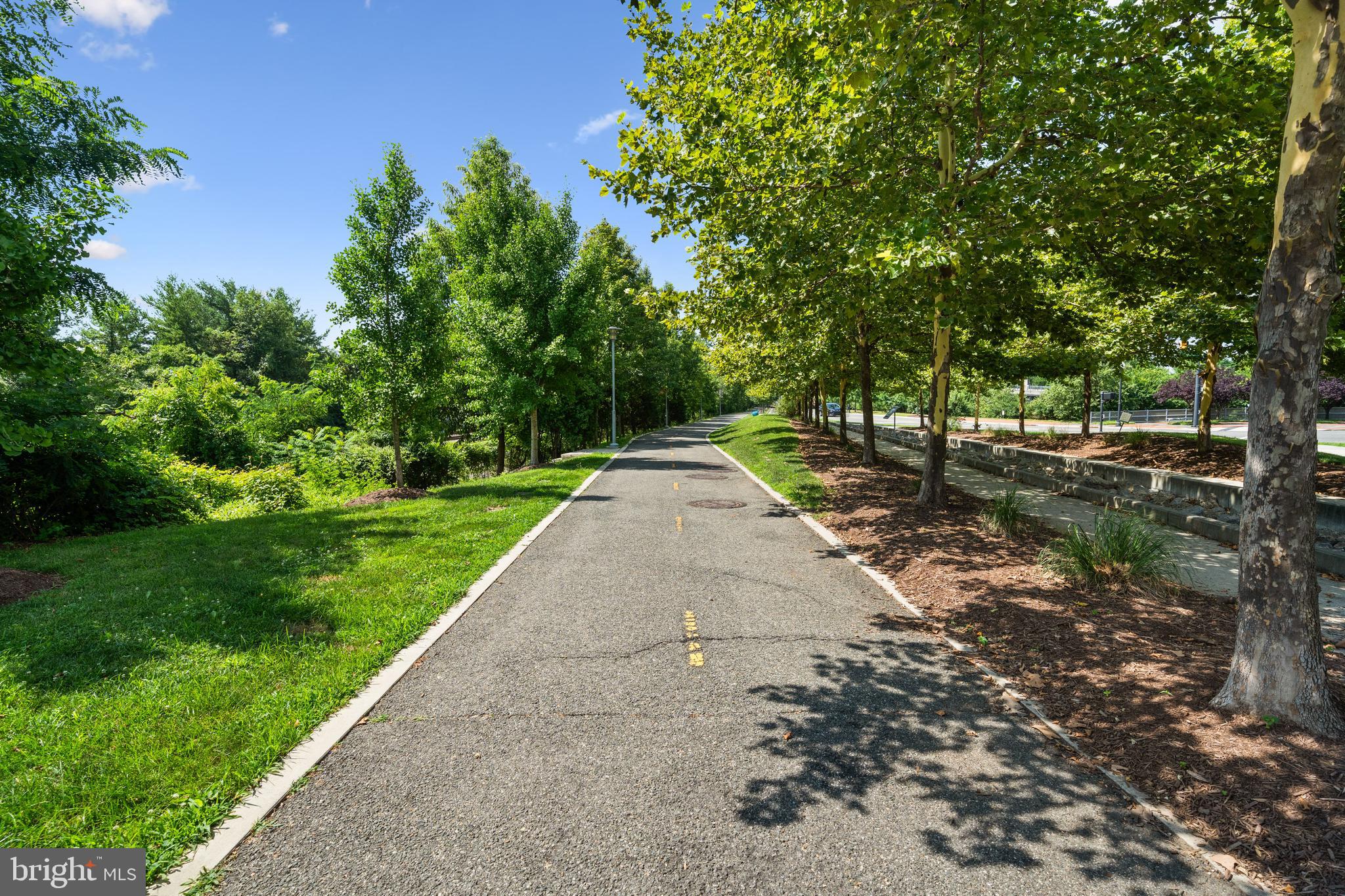 POTOMAC YARD - Residential